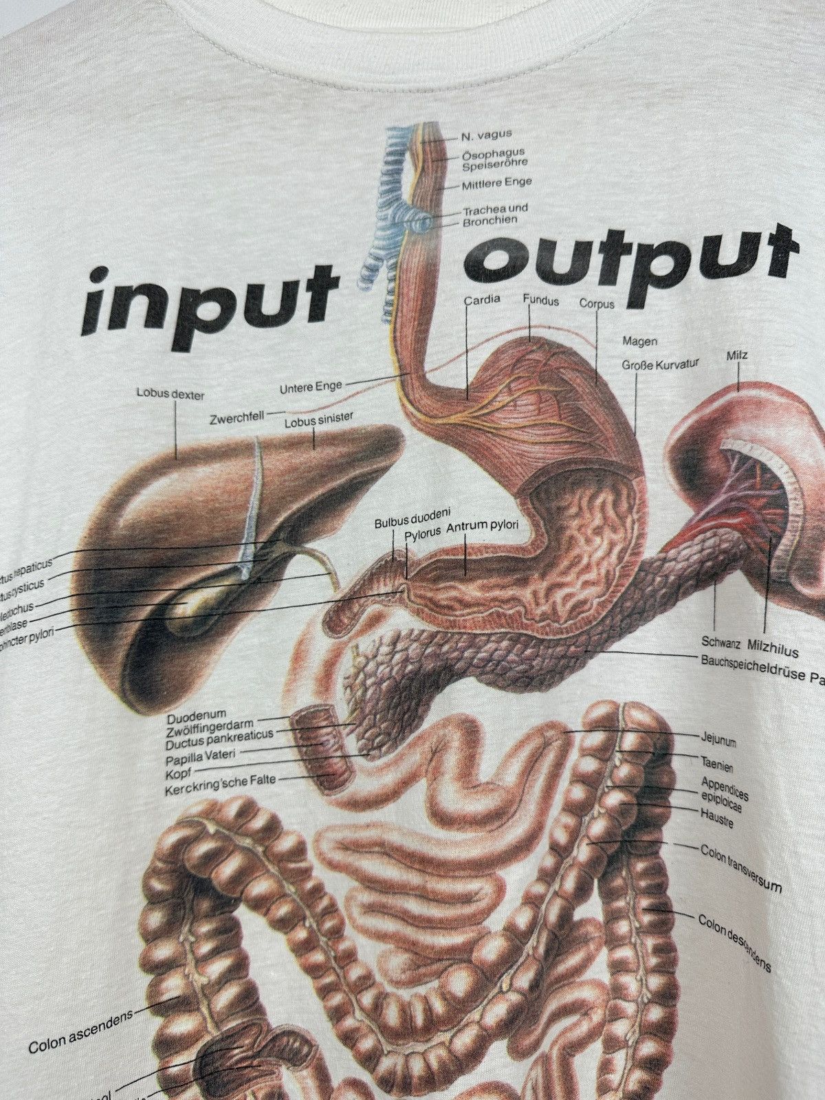 Vintage 1994 Vintage Input Output Anatomic Medical Digestive System Size US XL / EU 56 / 4 - 7 Thumbnail