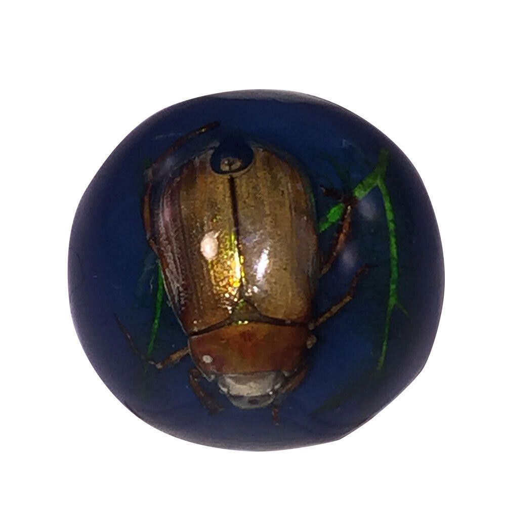 Designer Scarab Blue Bug Plastic Ring Size ONE SIZE - 1 Thumbnail