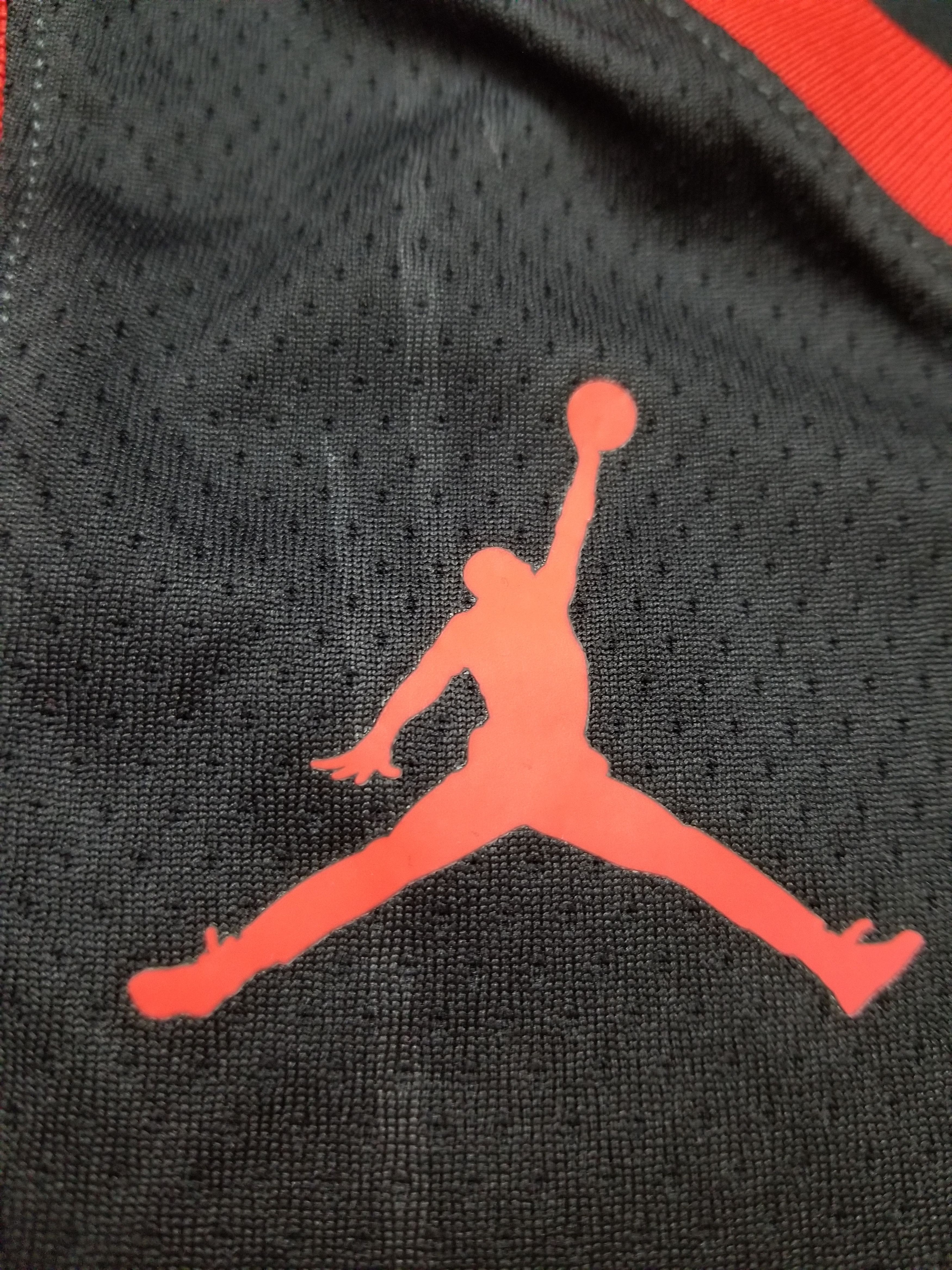 Jordan Brand Toronto Raptors Statement Jersey Custom #00 Catmeister Size US XL / EU 56 / 4 - 10 Thumbnail
