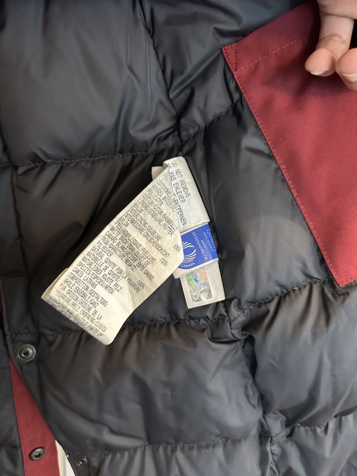 Canada Goose Canada Goose Women kensington Parka Size XS / US 0-2 / IT 36-38 - 6 Thumbnail
