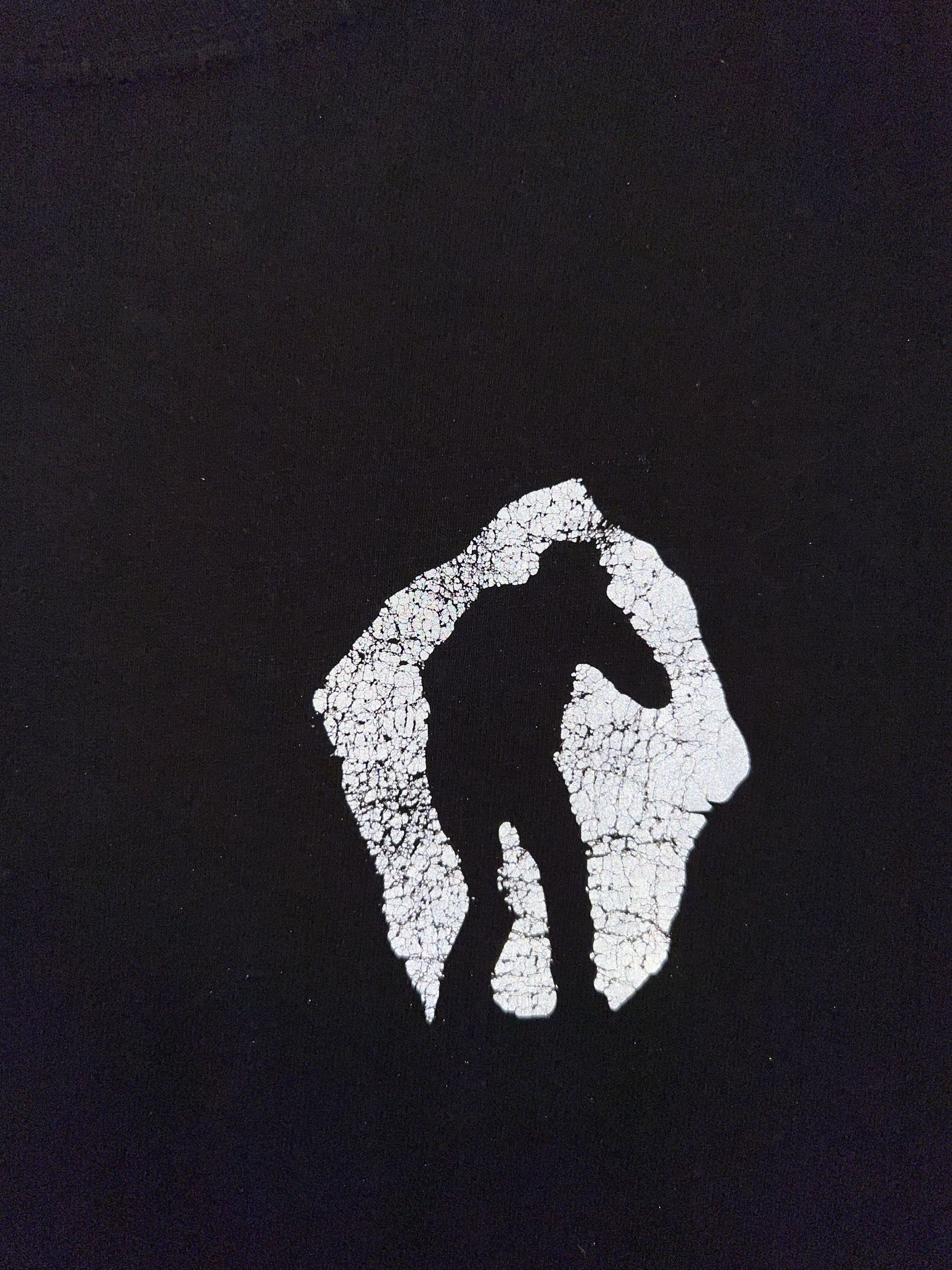 Band Tees Curtis Heron TeamSESH 3M Graphic Print Longsleeve black Size US L / EU 52-54 / 3 - 6 Thumbnail