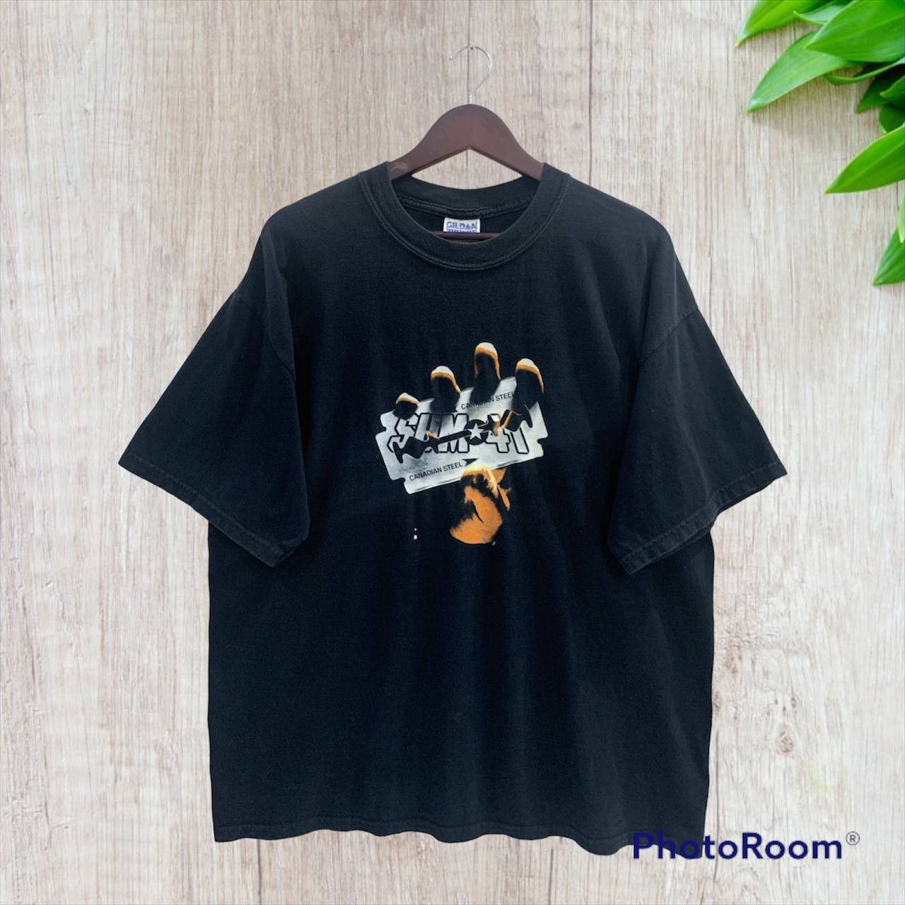 2000s Sum 41 Canadian Steel Punk-pop