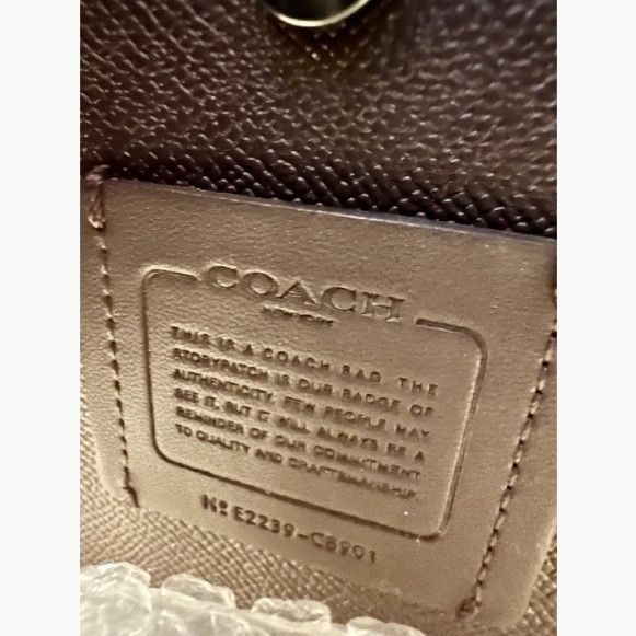 Coach Coach CB901 Sunset Leather Mollie Bucket Bag 22 Purse Size ONE SIZE - 8 Thumbnail