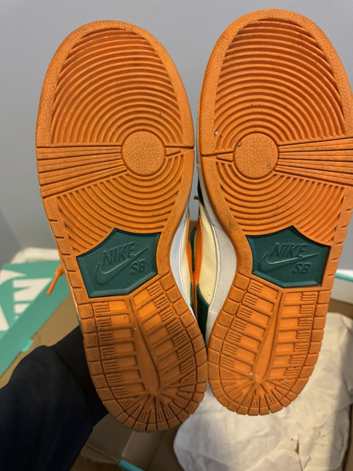 Legion Pine Kumquat