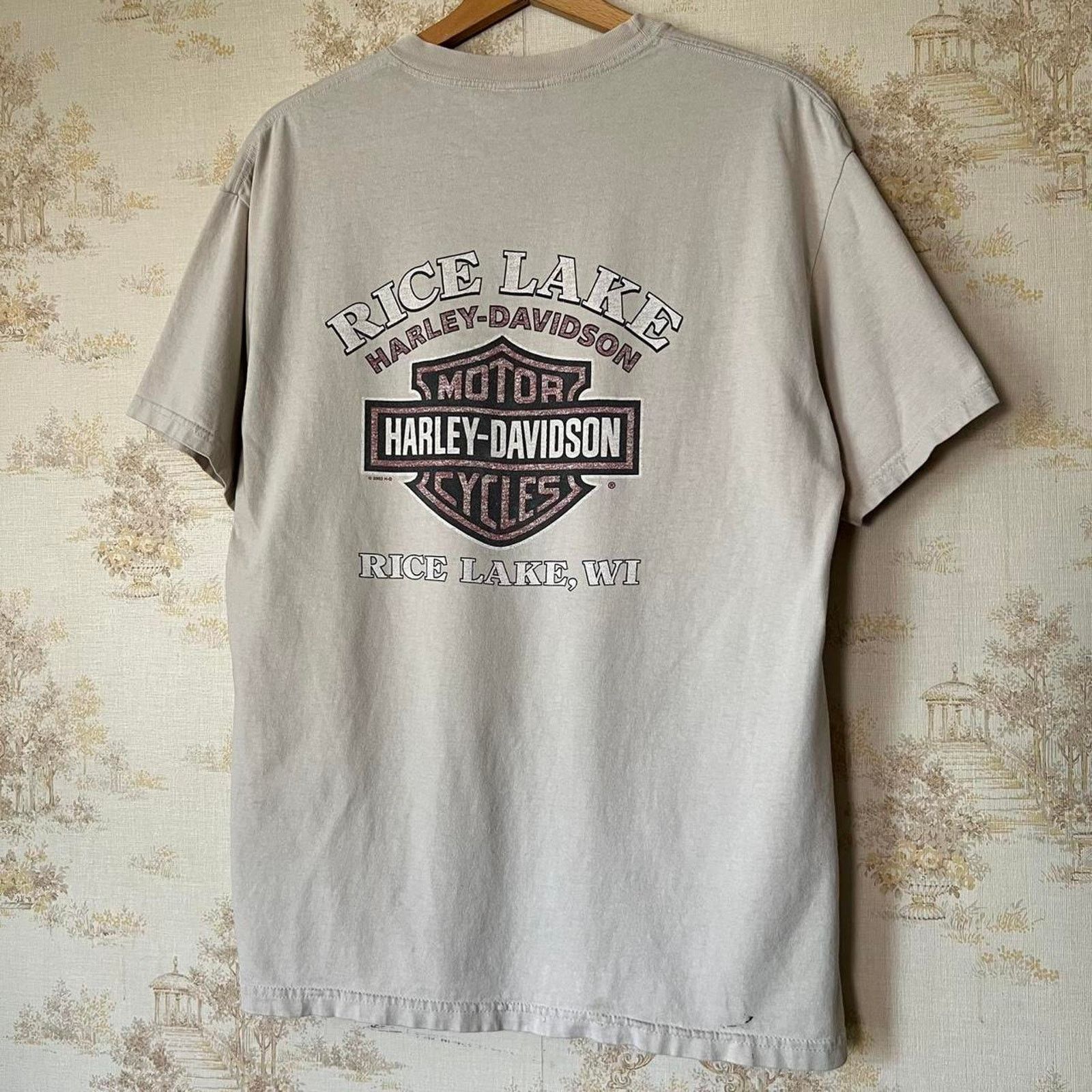 Harley Davidson 00s Distressed Harley Davidson T-Shirt | Rice Lake Wisconsin Size US L / EU 52-54 / 3 - 9 Thumbnail