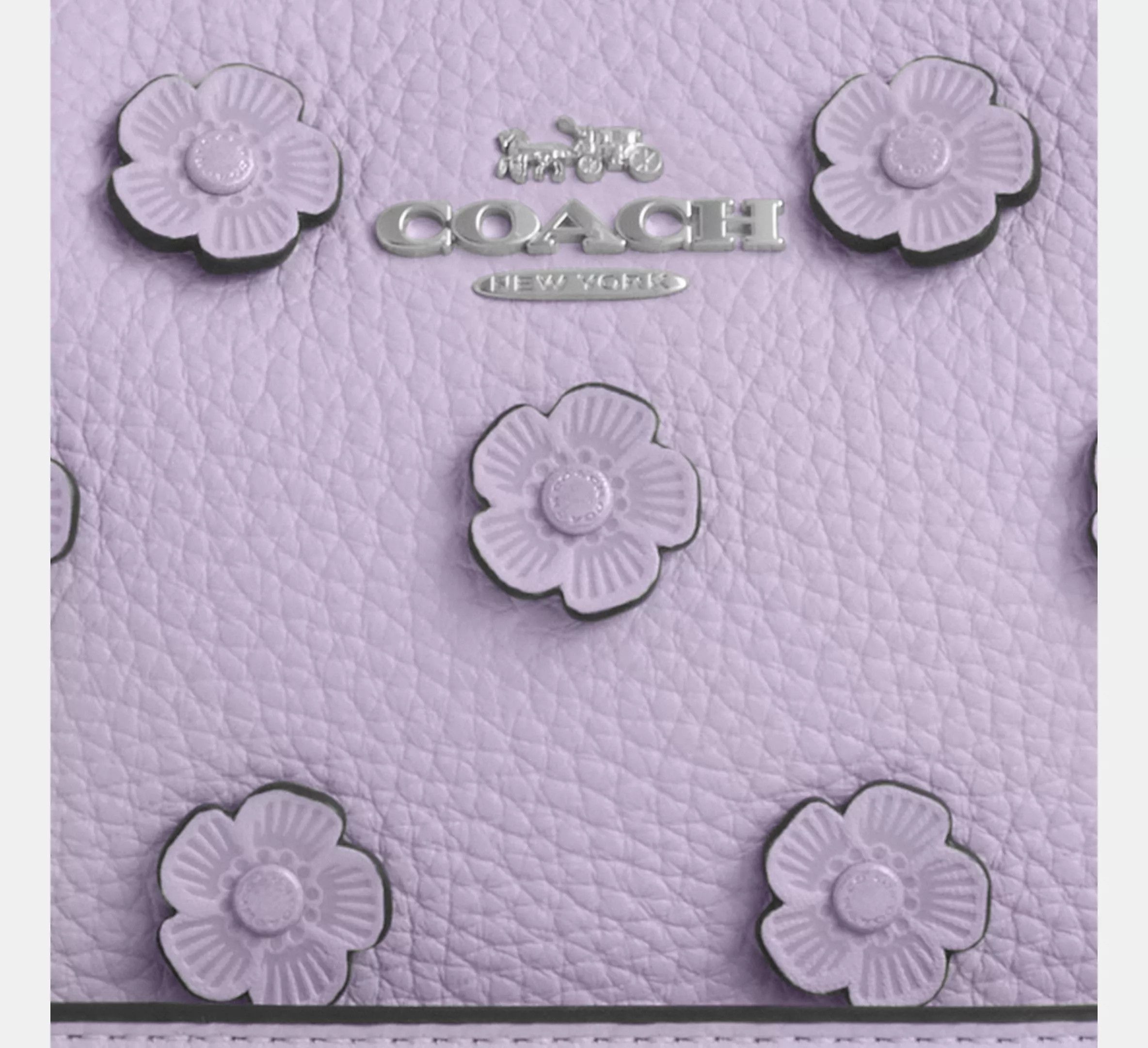 Coach NWT Coach Teri Mini Crossbody Bag With Floral Applique CAJ98 Size ONE SIZE - 12 Thumbnail