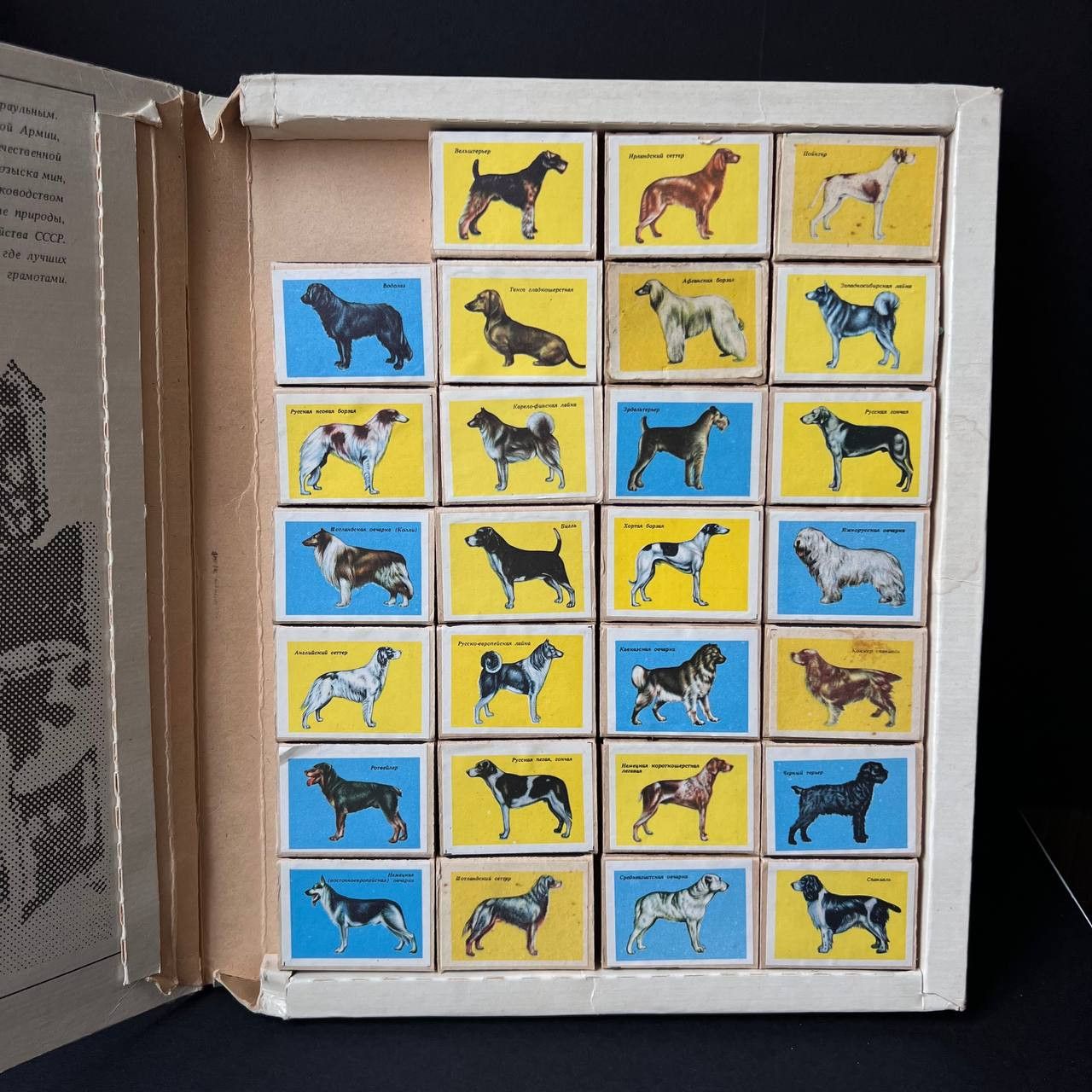 Vintage 1980s Vintage Matchbox Set Matches Dog Breeds Soviet Era Size ONE SIZE - 2 Thumbnail