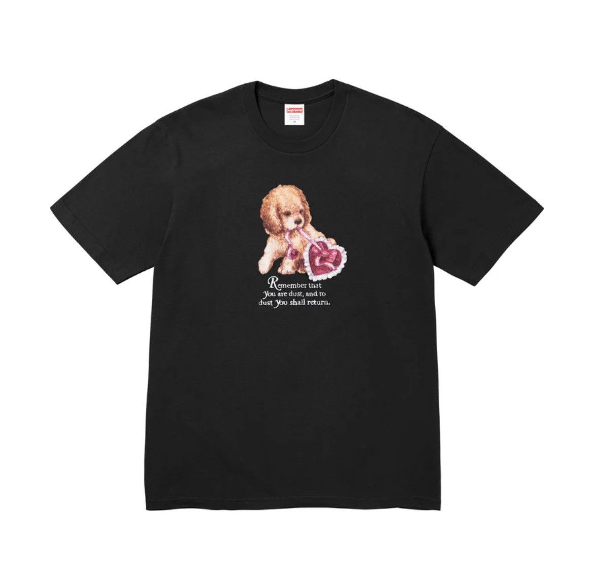 Supreme Supreme Dust Tee Size US L / EU 52-54 / 3 - 1 Preview
