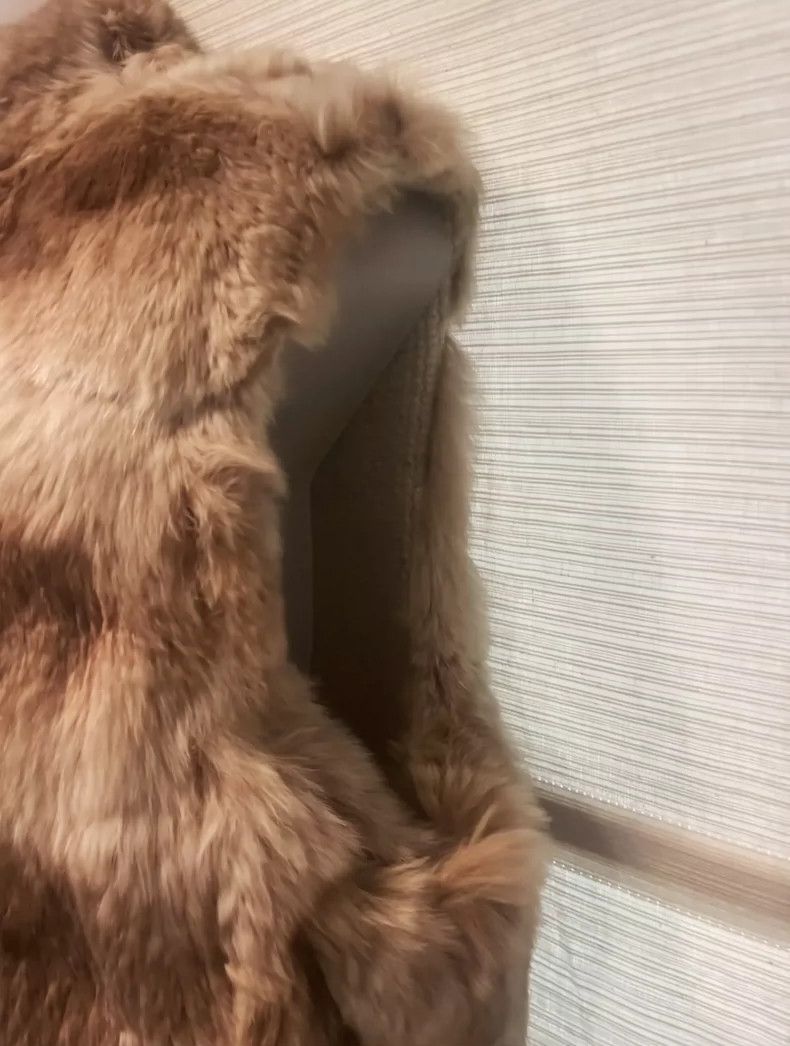 Loro Piana LORO PIANA Dragon Cat Fur Vest Size US S / EU 44-46 / 1 - 5 Thumbnail