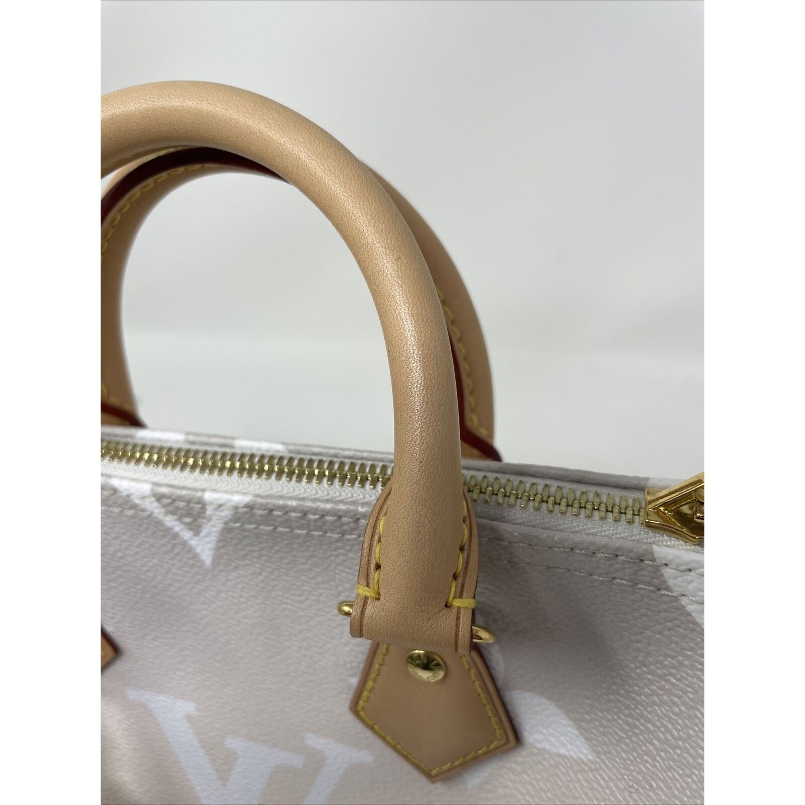 Louis Vuitton Louis Vuitton Speedy 25 Bandouliere By The Pool Brume Mist Size ONE SIZE - 16 Thumbnail