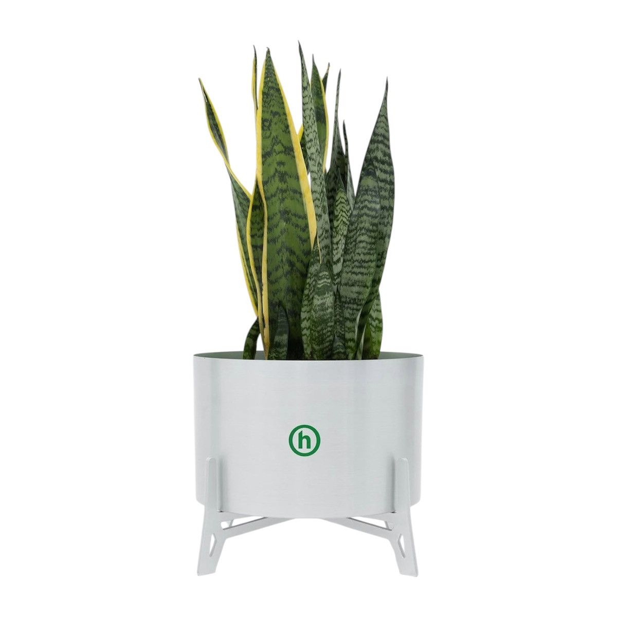 HIDDEN Hidden NY Planter Vase Size ONE SIZE - 1 Thumbnail