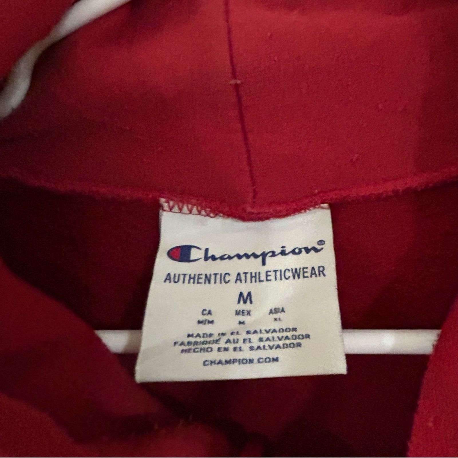 Champion Champion Florida Tech Panthers Hoodie Size US M / EU 48-50 / 2 - 3 Thumbnail
