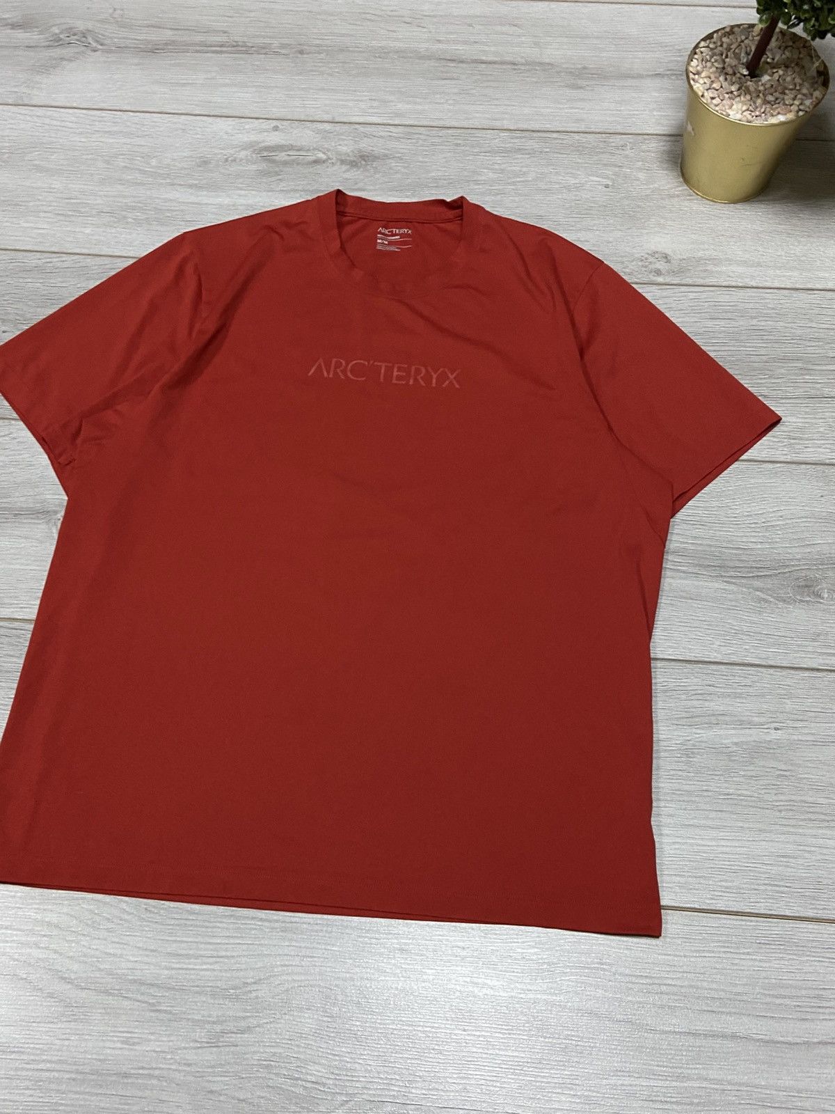 Arc'teryx Arcteryx vintage bird logo t-shirt spell out bird Size US M / EU 48-50 / 2 - 2 Thumbnail