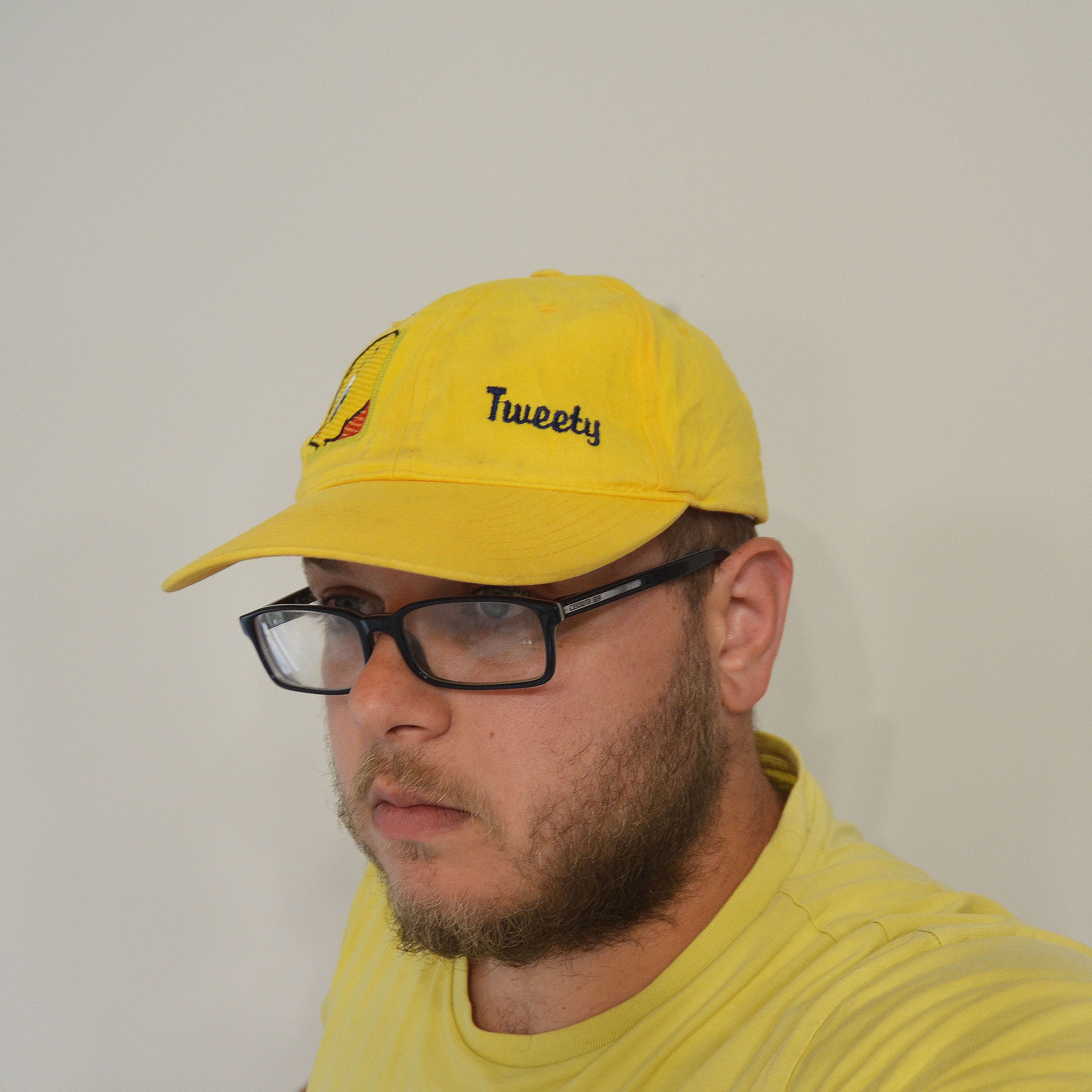 Cartoon Network Vtg Looney Tunes Trucker Snapback Cap TWEETY BIRD SYLVESTER Size ONE SIZE - 2 Thumbnail
