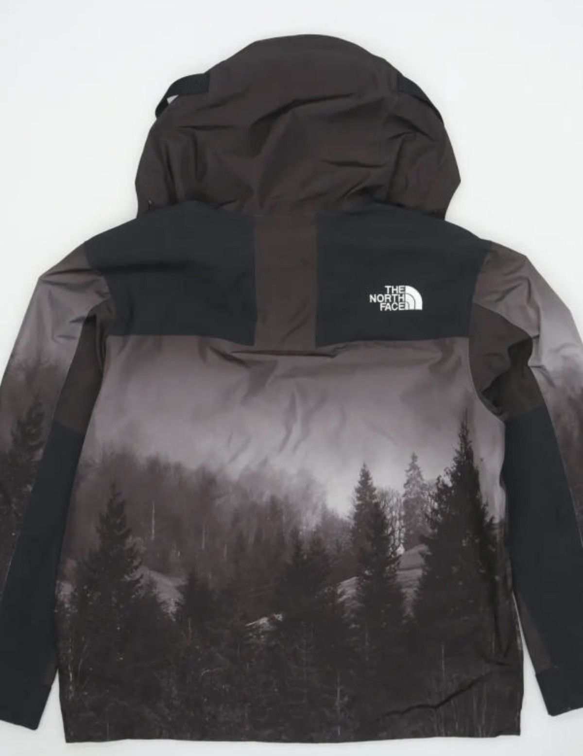 The North Face The North face tnf 1990 Gore-tex gtx mountain visa Jacket Size US XL / EU 56 / 4 - 2 Thumbnail