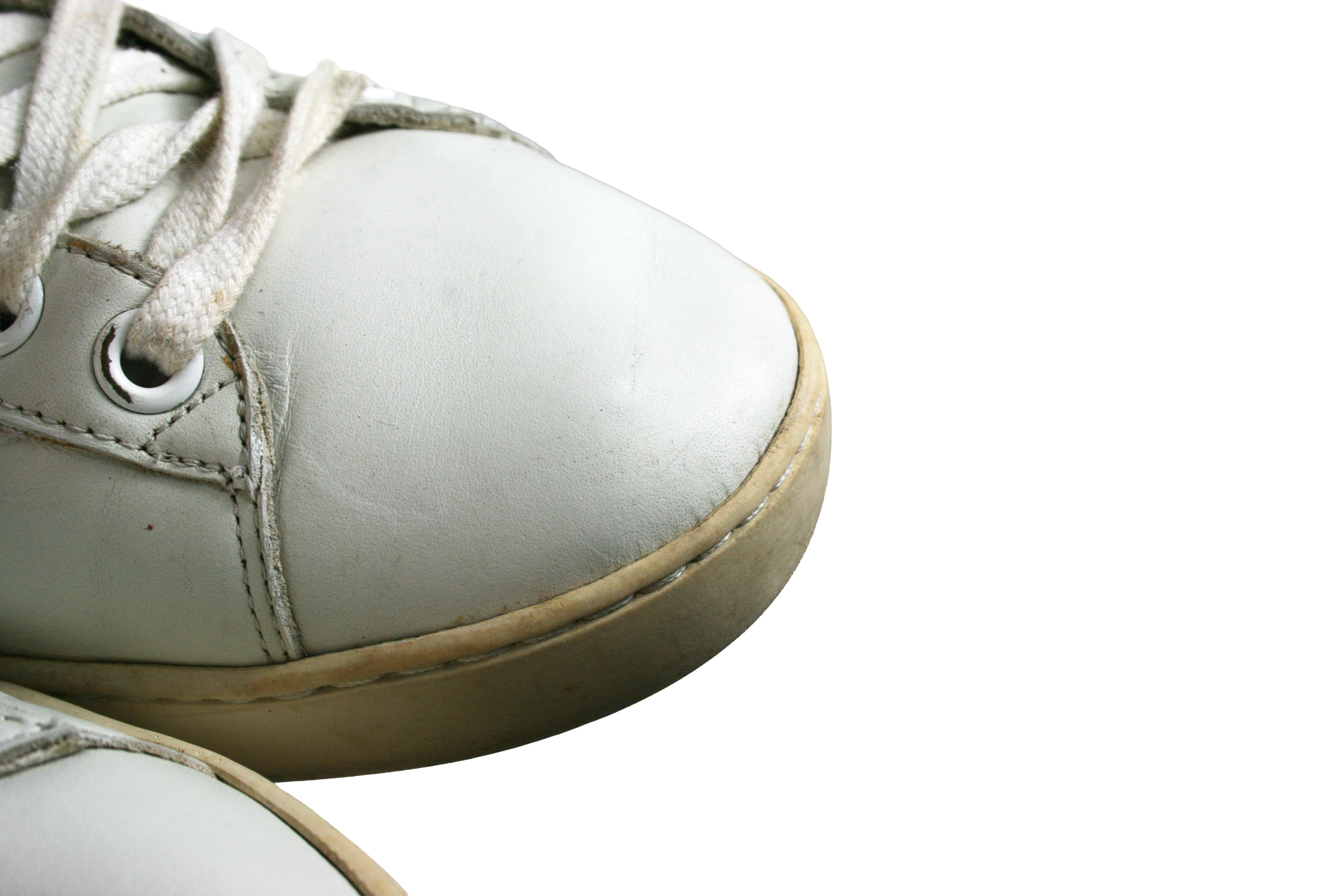Ace Bee Embroidered Leather Low Sneakers