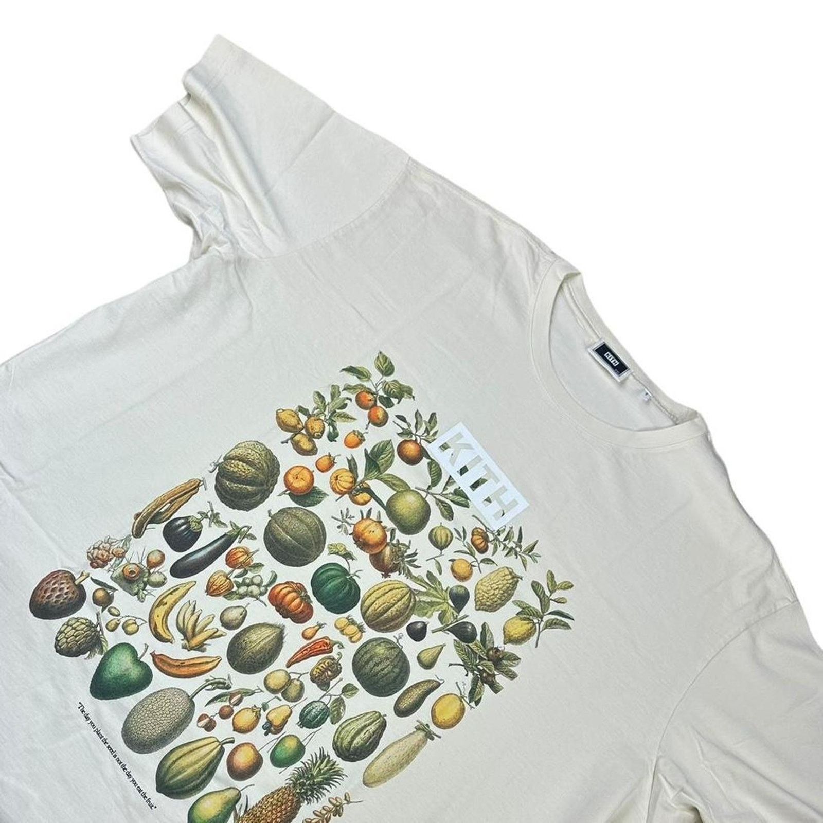 image of Kith “Growth In Time” Vintage Tee Shirt In Sandrift in Tan, Men's (Size 2XL)