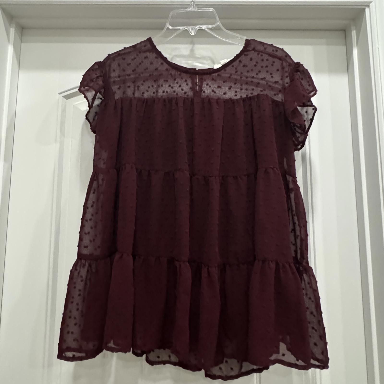 Etro Women's Burgundy Sheer Polka Dot Tiered Blouse-Small Size M / US 6-8 / IT 42-44 - 1 Thumbnail
