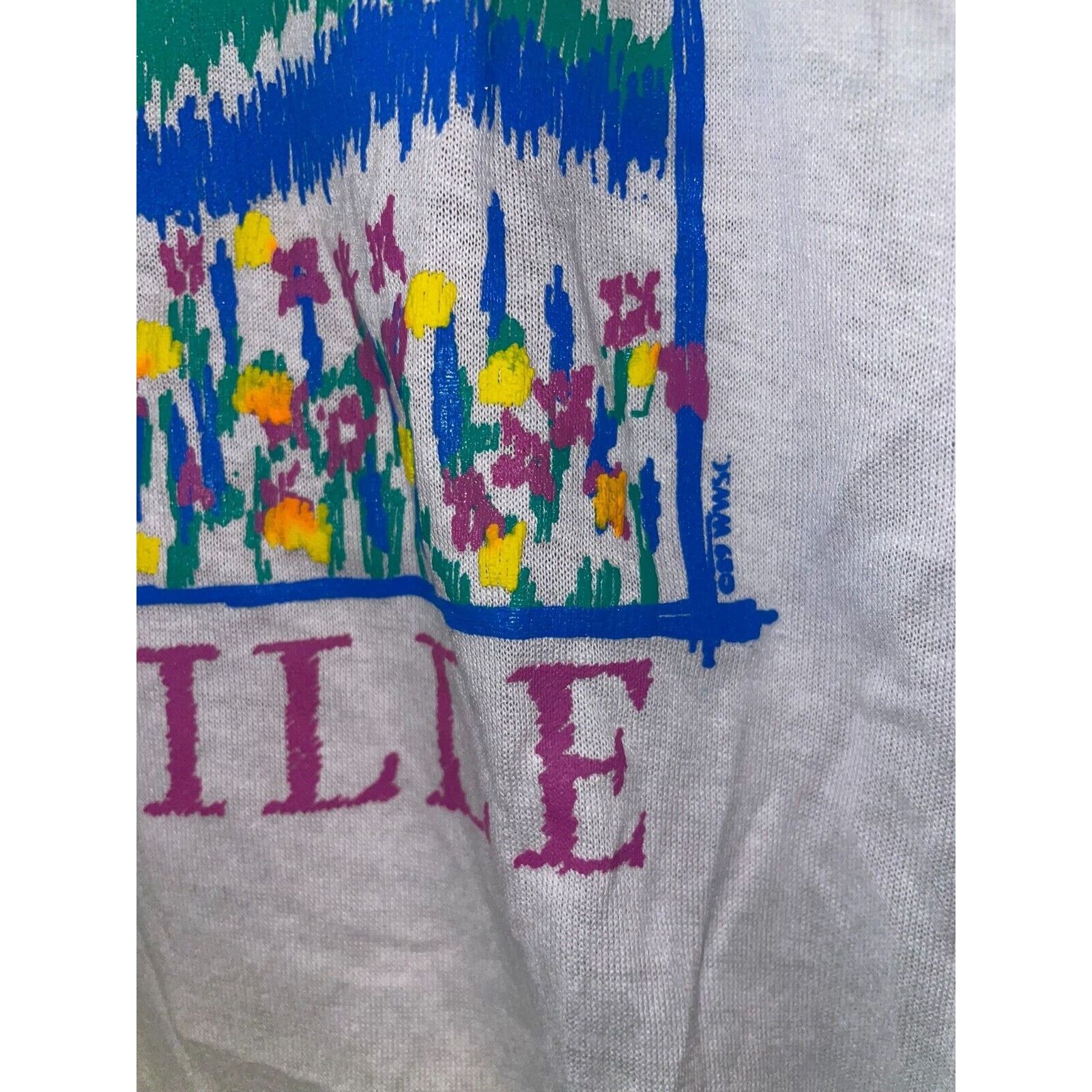 Jerzees Vintage Louisville Rocky Mountain Test Print White M Shirt Size US M / EU 48-50 / 2 - 5 Thumbnail