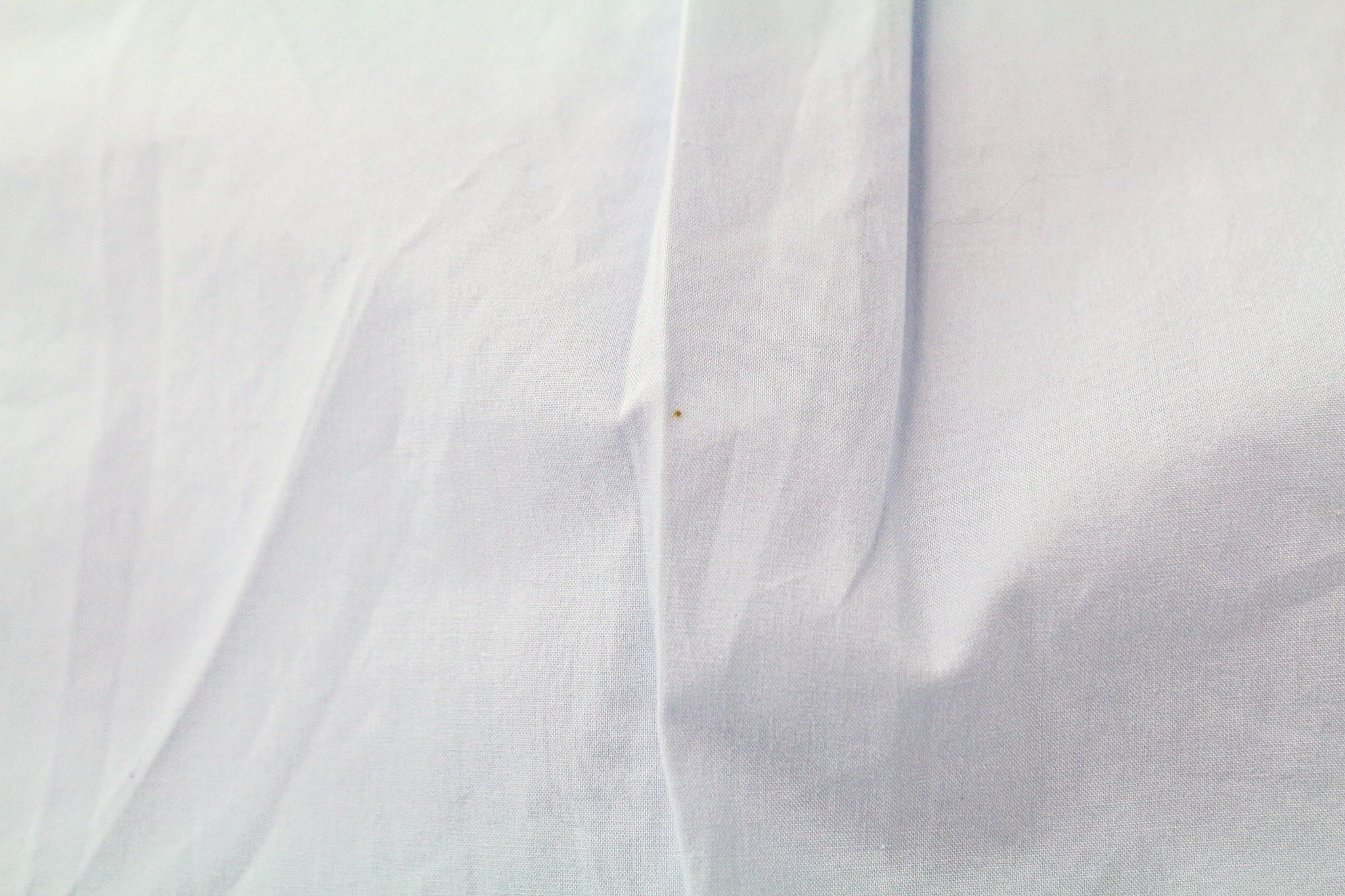Maison Scotch M Light Blue Cotton Logo Long Sleeve Shirt 74252 Size M / US 6-8 / IT 42-44 - 15 Thumbnail