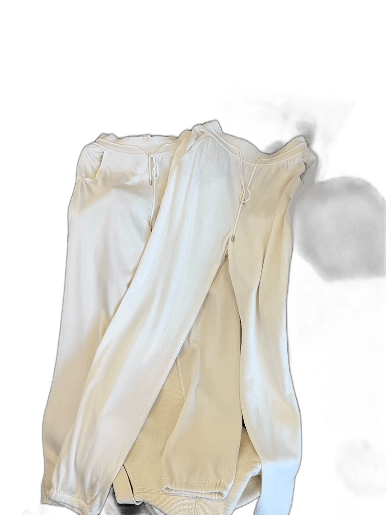 Loro Piana Loro Piana Classic Fit Spring Summer Pants - dmc Size 28" / US 6 / IT 42 - 1 Thumbnail