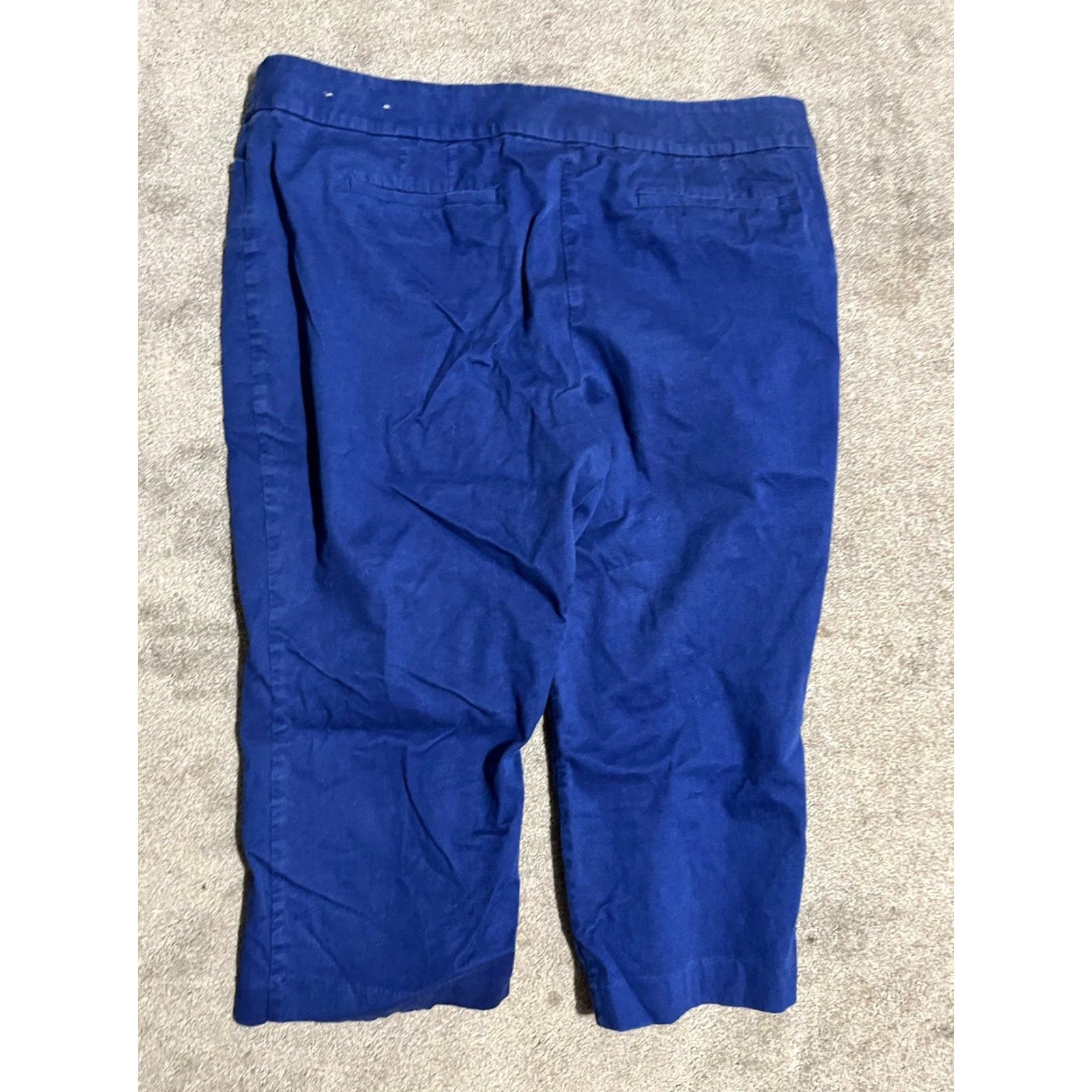 Ann Taylor VINTAGE Ann Taylor LOFT Women’s Capris Size 18 Regular Cotton Blue Solid Casual Pants Size ONE SIZE - 3 Thumbnail