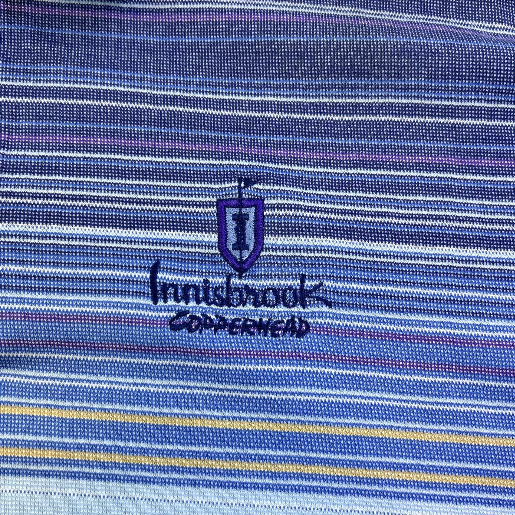 Vintage Tiger Woods Polo Shirt Mens M Blue Striped Copperhead Golf Course Adult Size US M / EU 48-50 / 2 - 7 Thumbnail