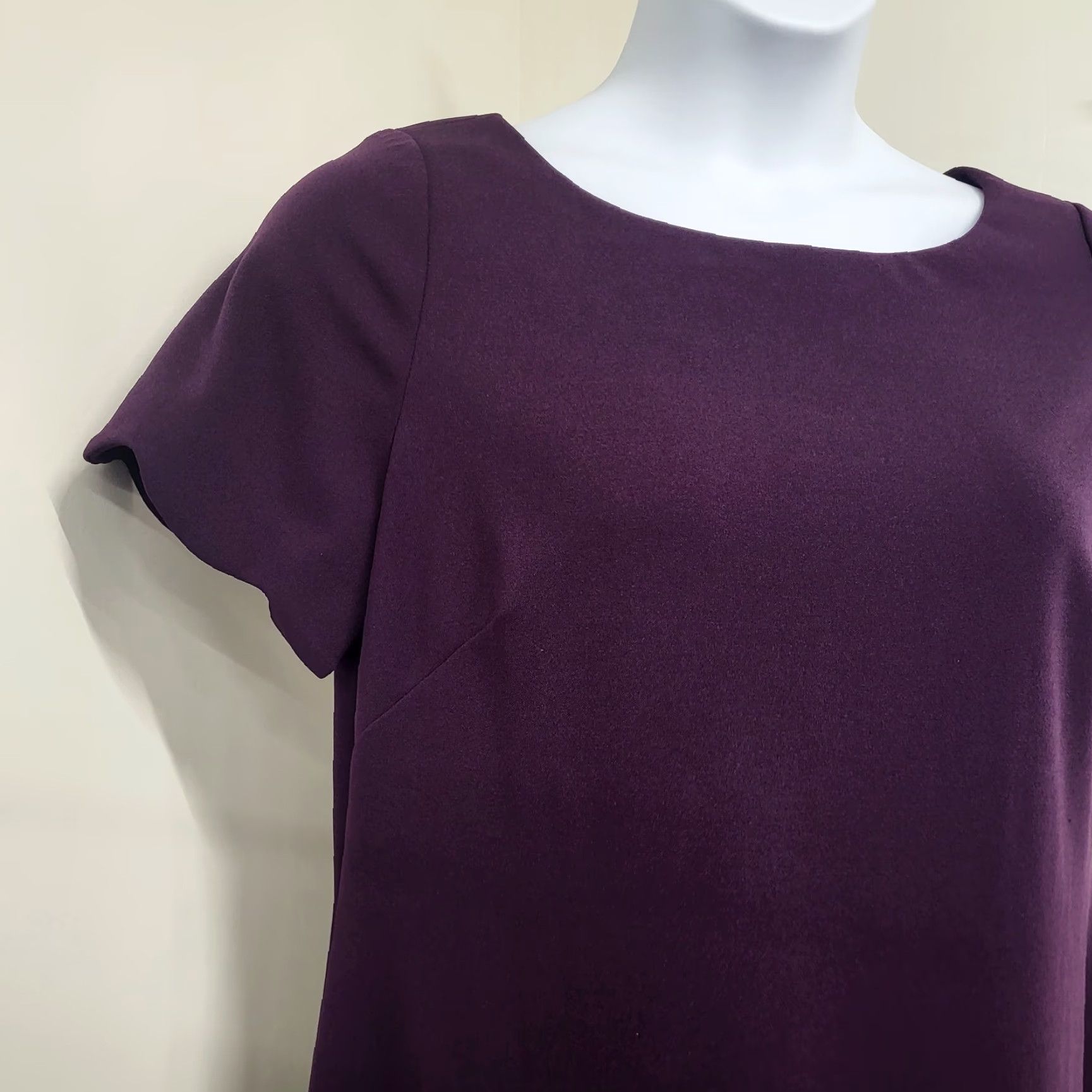 Anne Klein Ann Klein Dress Women's Size 14 Purple Wine Short Sleeve Scalloped Classic Fit Size 36" / US 14 / IT 50 - 7 Thumbnail