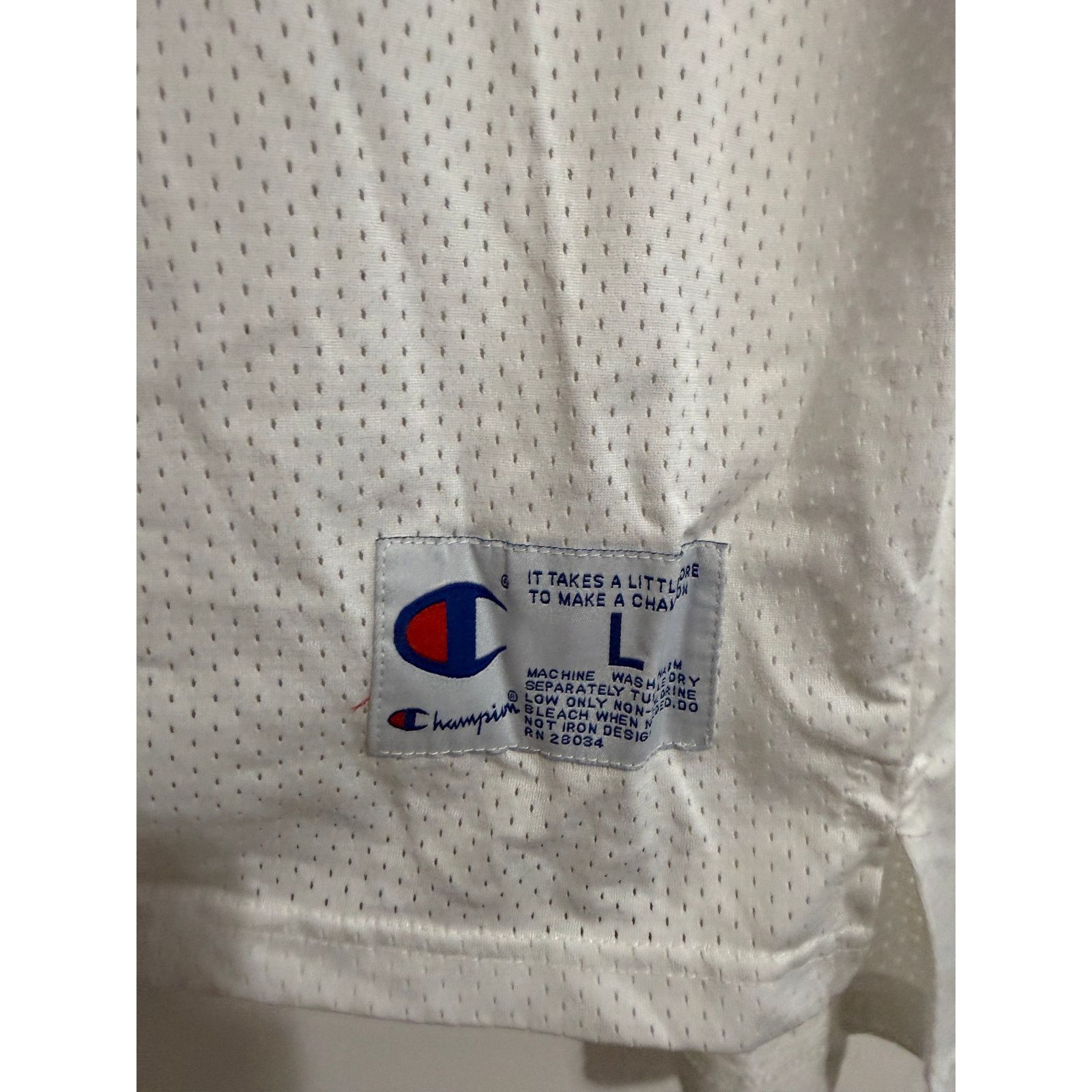 Champion Tasmanian Devil Taz Tune Squad Space Jam Jersey Size Large Size US L / EU 52-54 / 3 - 6 Thumbnail