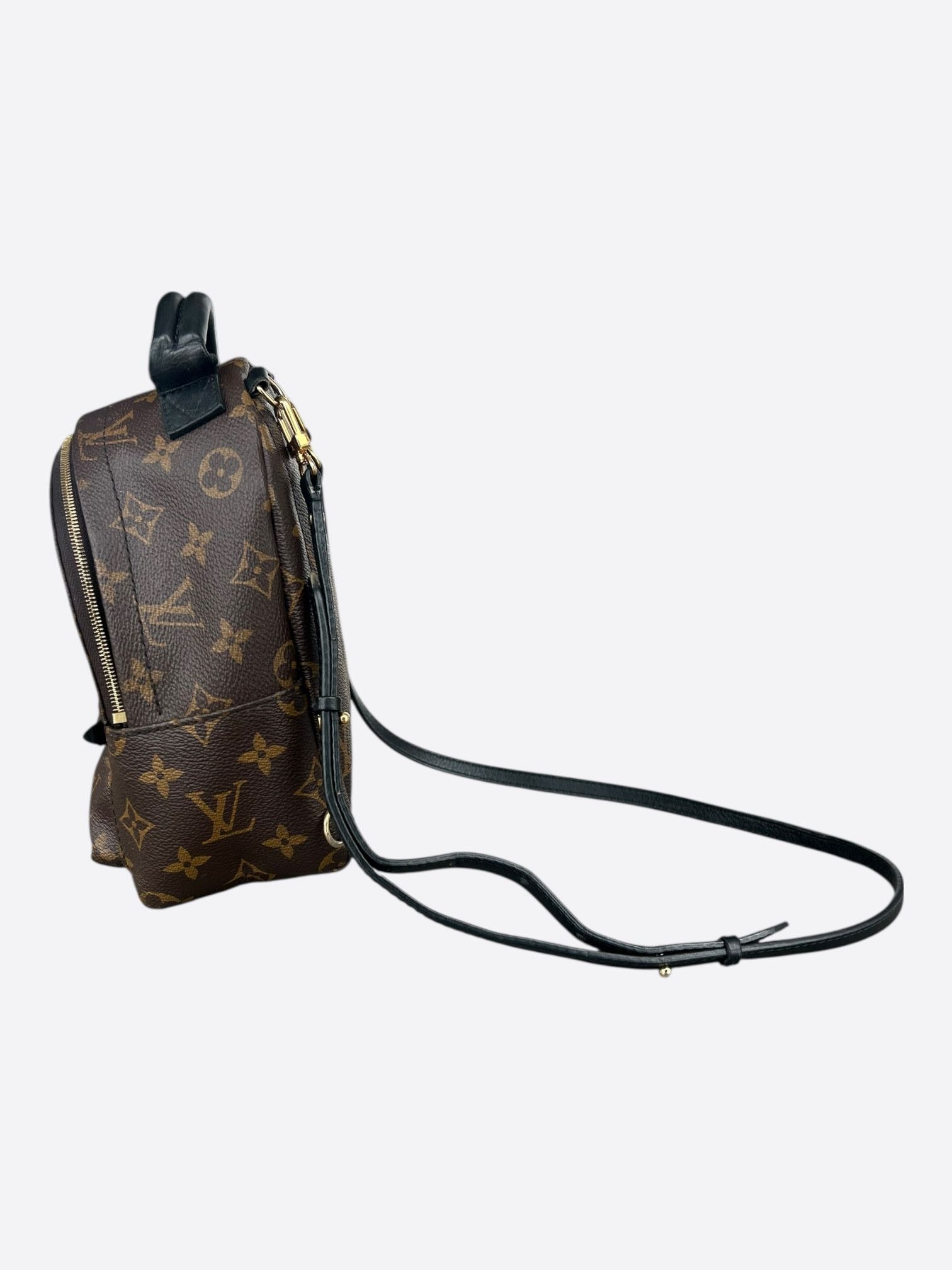 Louis Vuitton Louis Vuitton Brown Monogram Palm Springs Mini Size ONE SIZE - 4 Thumbnail