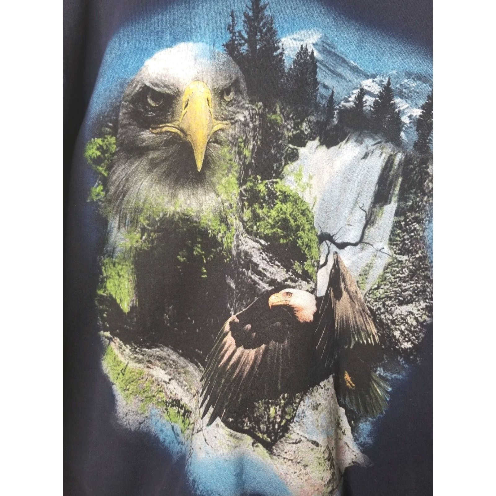 Vintage VINTAGE Cadre Athletic Bald Eagle Wilderness Pullover Sweatshirt Mens L Blue 1990s Sweatshirt Mens Size US L / EU 52-54 / 3 - 2 Thumbnail