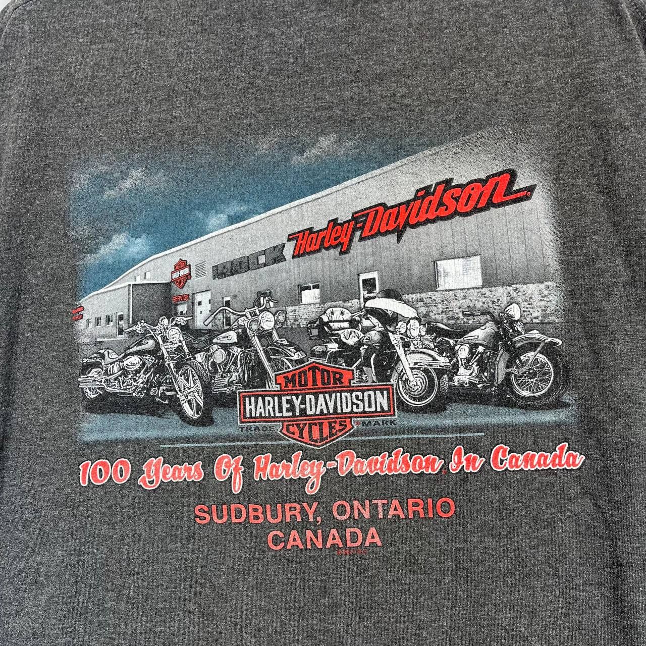 Harley Davidson Harley-Davidson Ride Canada Eh Graphic T-Shirt Grey Size L Size US L / EU 52-54 / 3 - 7 Thumbnail