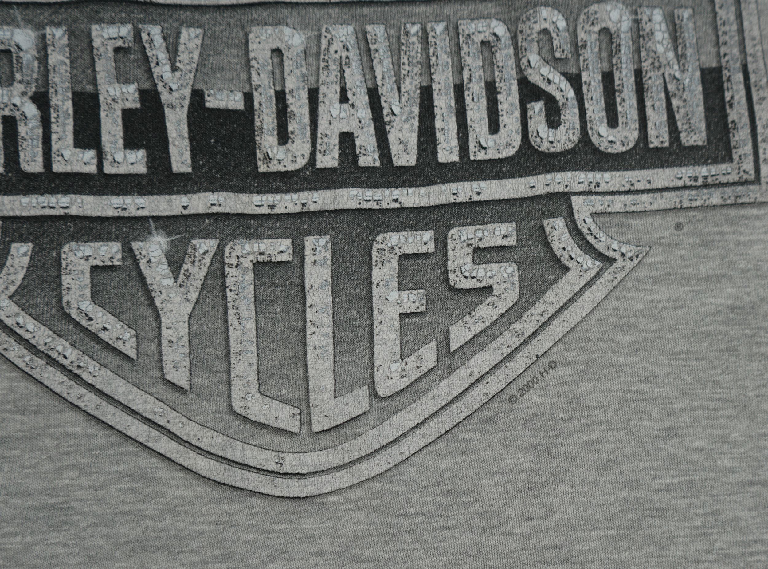 Harley Davidson × Vintage Vintage 2000 Harley Davidson Switzerland T-Shirt Size US S / EU 44-46 / 1 - 3 Thumbnail