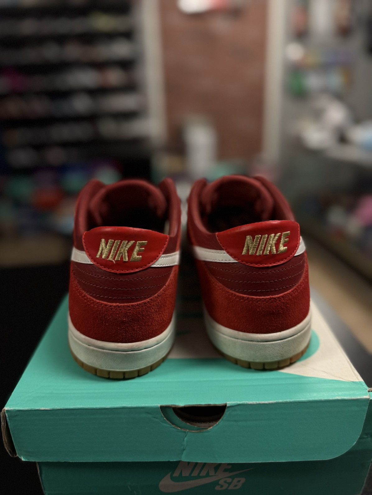 11 - Nike Zoom Dunk Low Pro SB 'Track Red' 854866-616