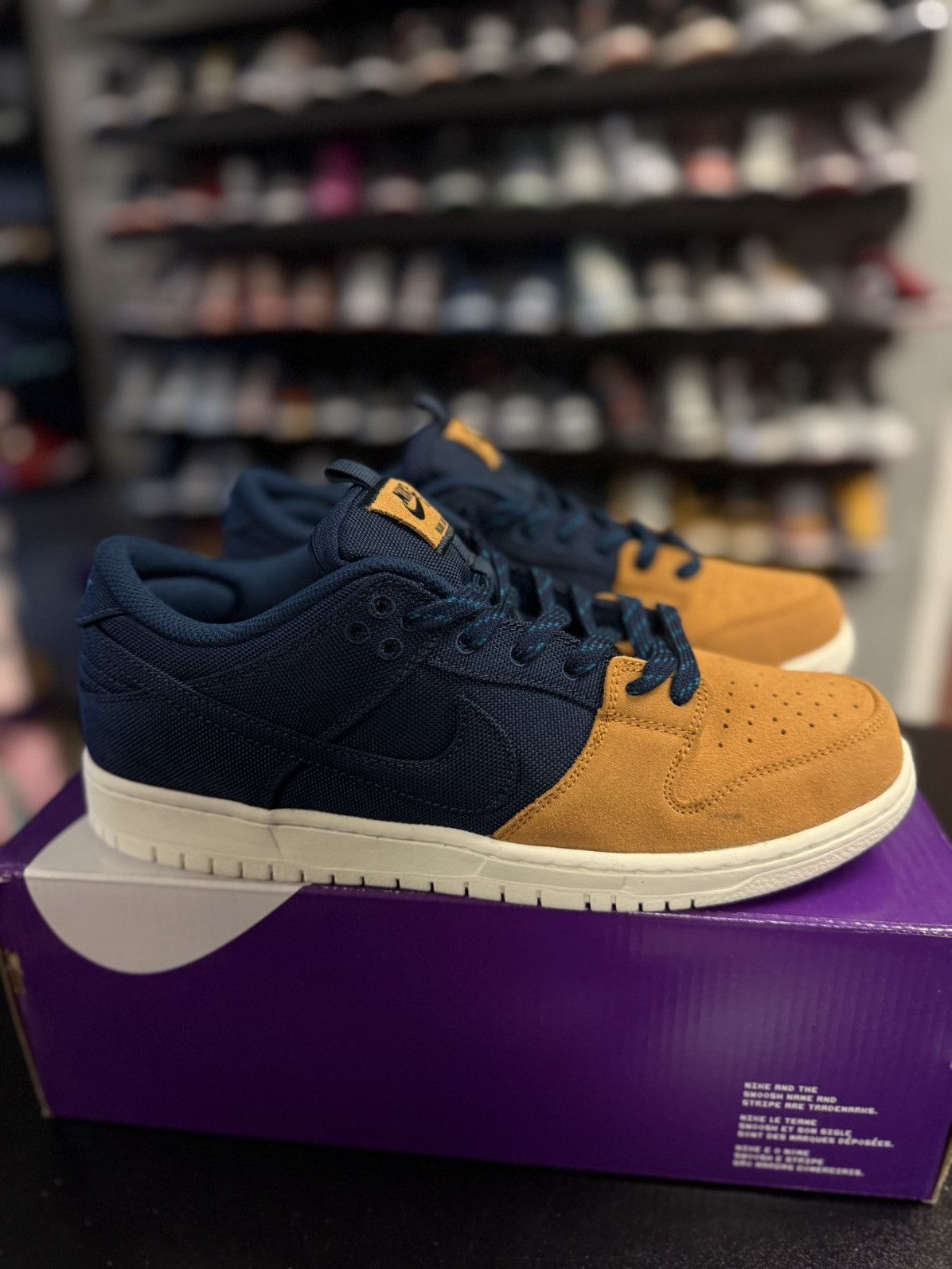 Nike Nike SB Dunk Low 90’s Backpack Size 10.5 (NEW) Size US 10.5 / EU 43-44 - 2 Thumbnail