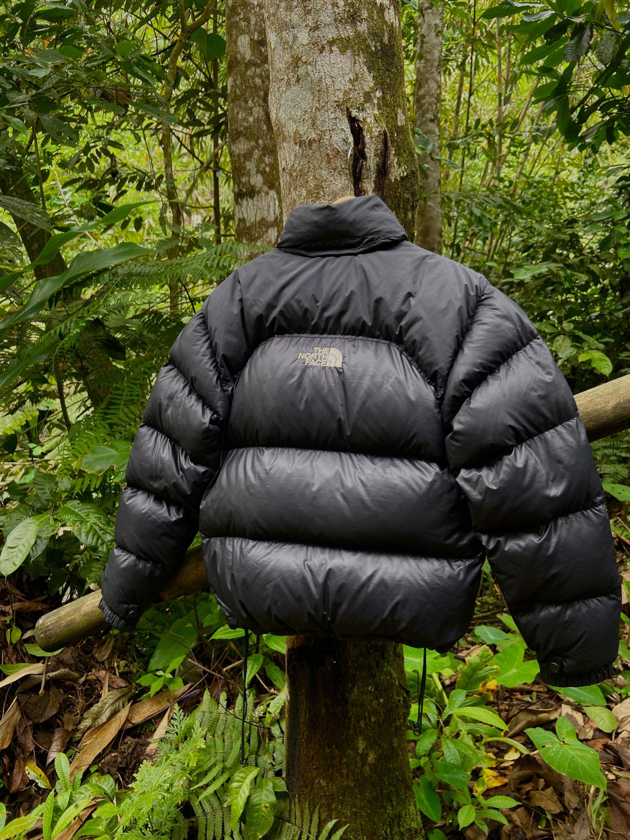 The North Face The north face Center Logo puffer jacket 700 Size US S / EU 44-46 / 1 - 3 Thumbnail