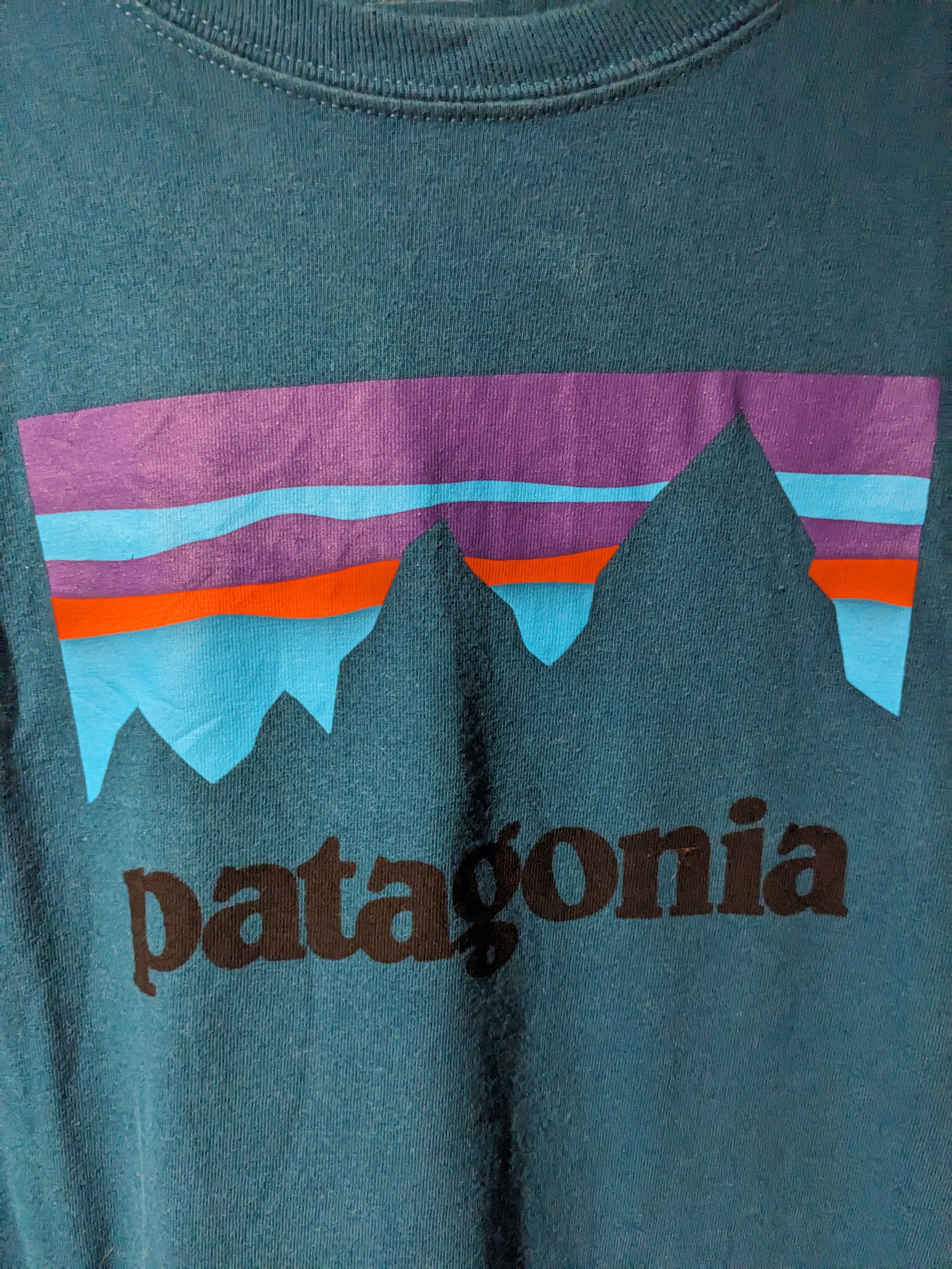 Patagonia Patagonia Logo Regular Fit Blue X-Large Long-Sleeve T-Shirt Size US XL / EU 56 / 4 - 2 Thumbnail