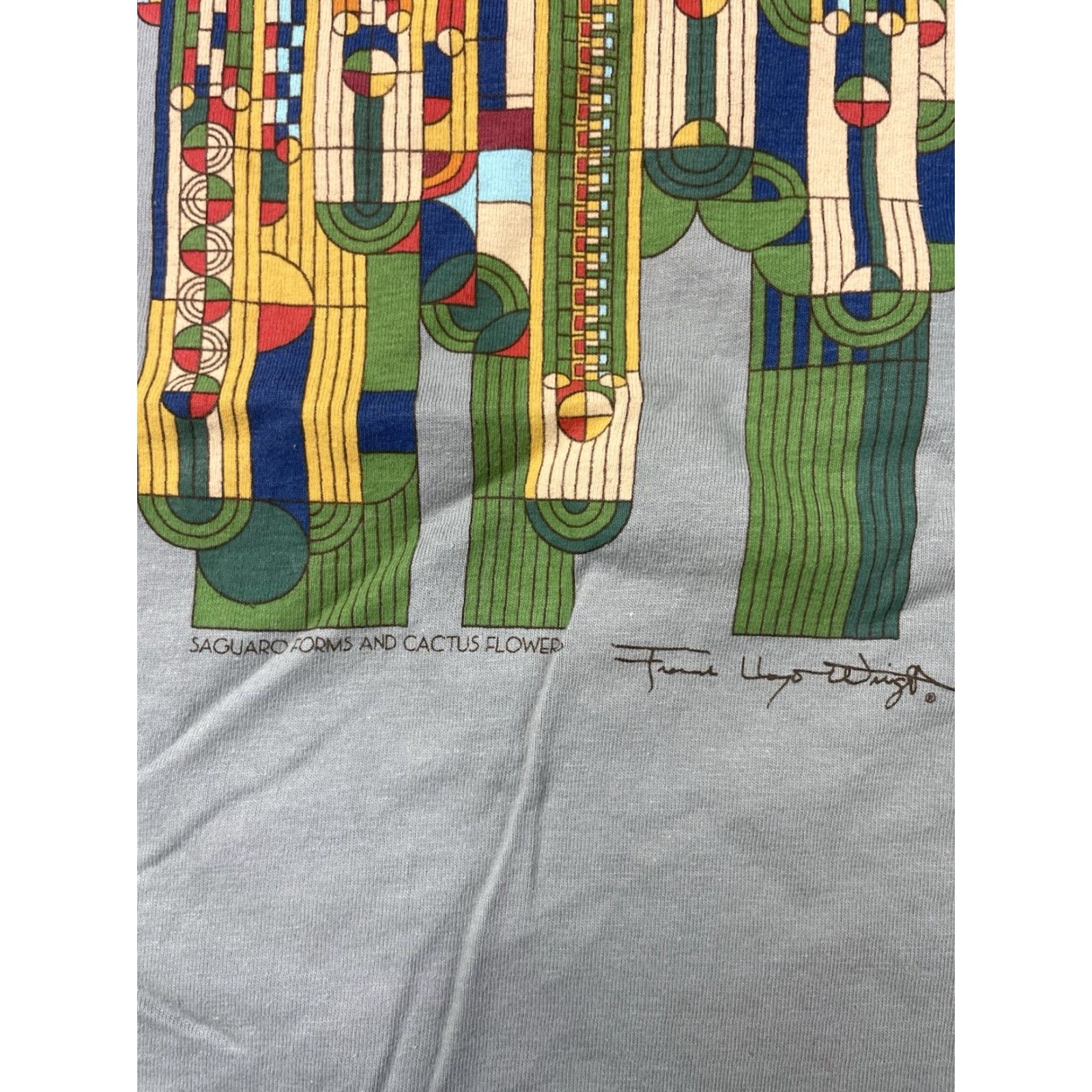 Hanes Frank Lloyd Wright Collection Saguaro Cactus T Shirt Size Large Art Tee Green Unisex Adults Short Sleeve Crew Neck Cotton Hanes ST210 Size US L / EU 52-54 / 3 - 3 Thumbnail