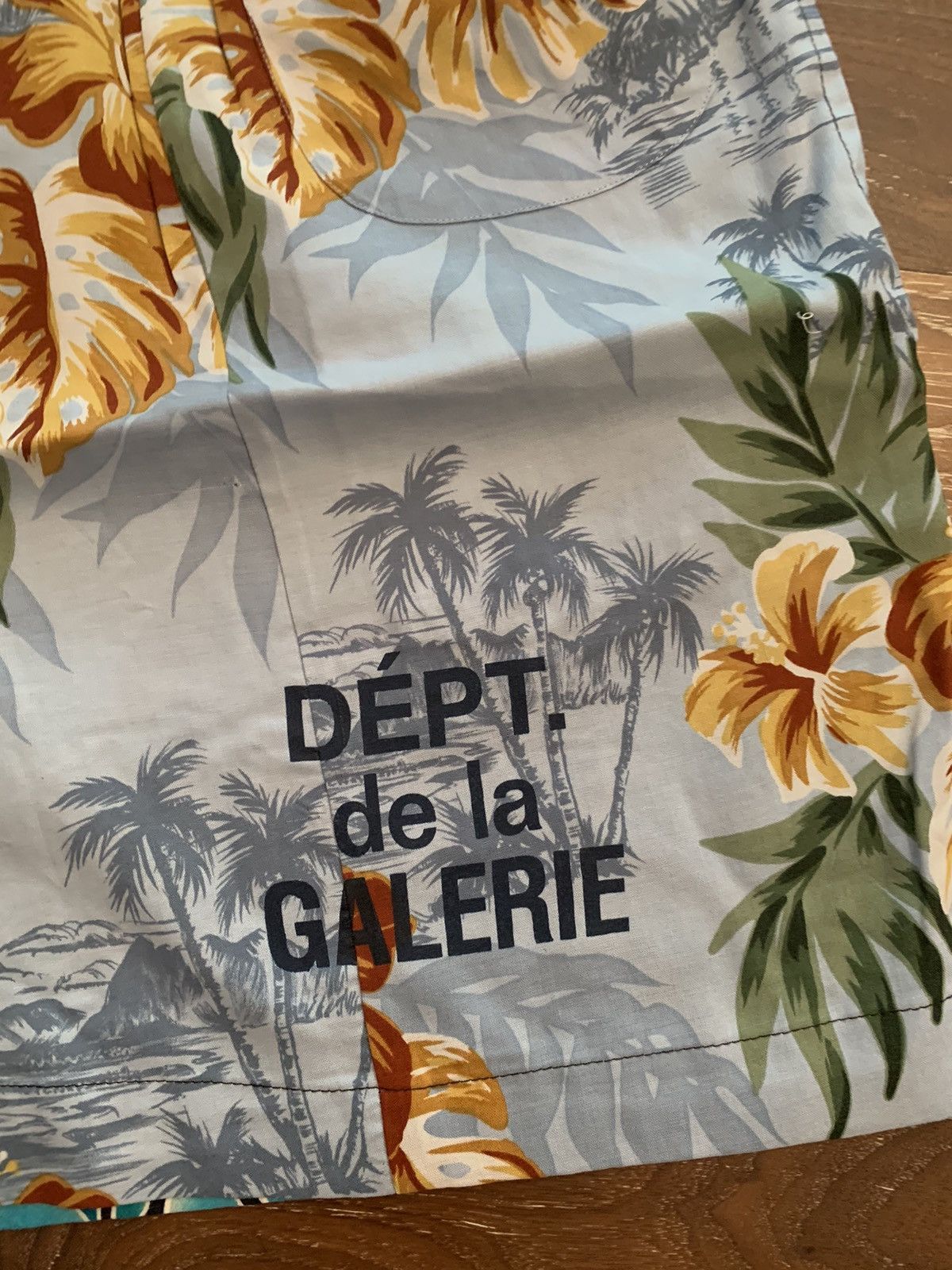 Gallery Dept. Gallery Department Zuma vacation multicolor shorts XL Size US 36 / EU 52 - 3 Thumbnail