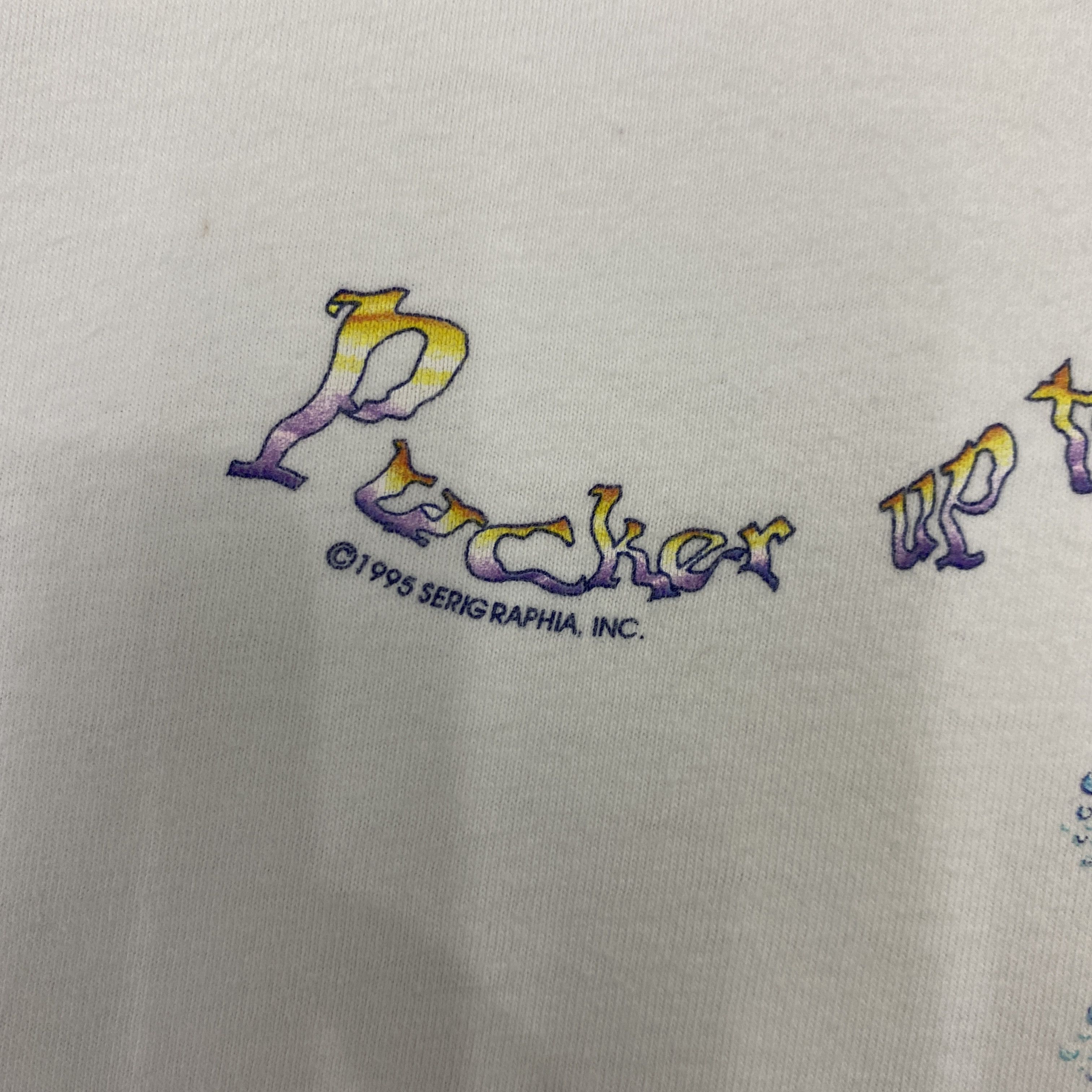 Hanes Vintage 90s Fudpuckers Walton Beach Florida T-Shirt - K078 Size US M / EU 48-50 / 2 - 7 Thumbnail
