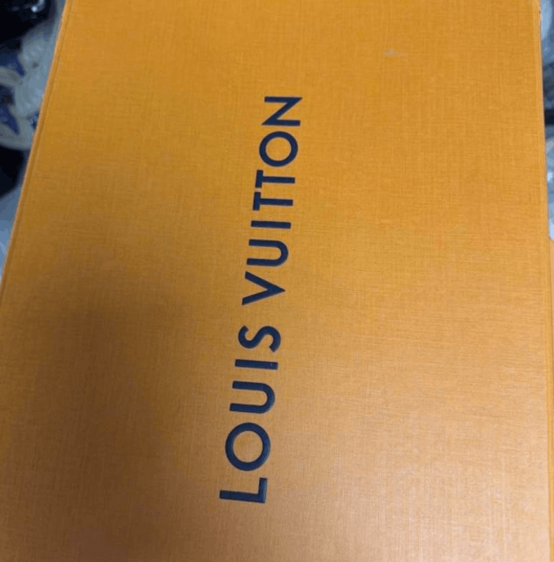 Louis Vuitton Louis Vuitton Low-Top Sneakers Size US 6 / IT 36 - 6 Thumbnail