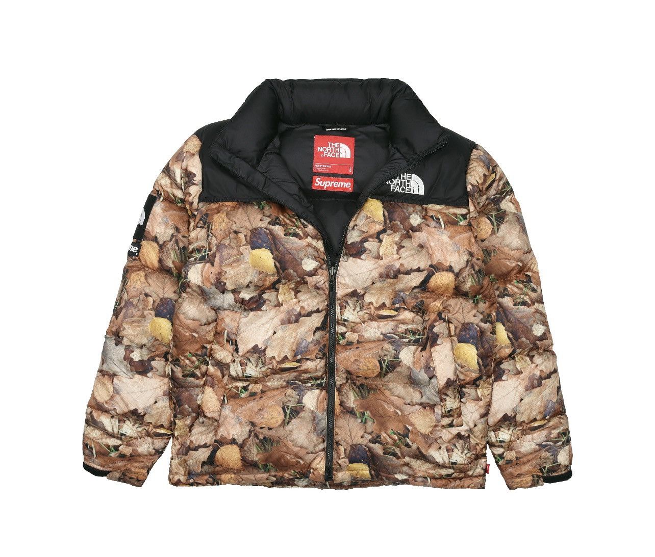 Supreme The North Face Leaf Hooded