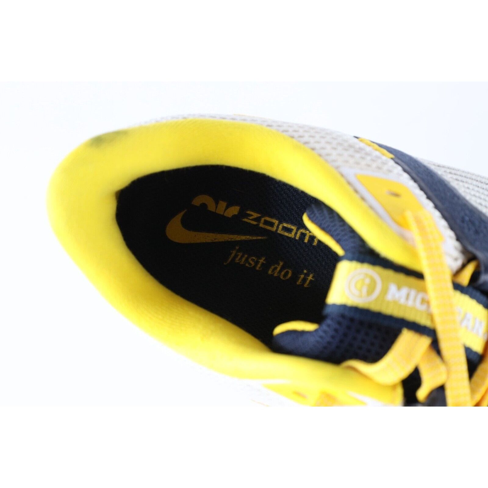 Nike Nike Team Issued University of Michigan Pegasus Shoes Size US 12 / EU 45 - 9 Thumbnail
