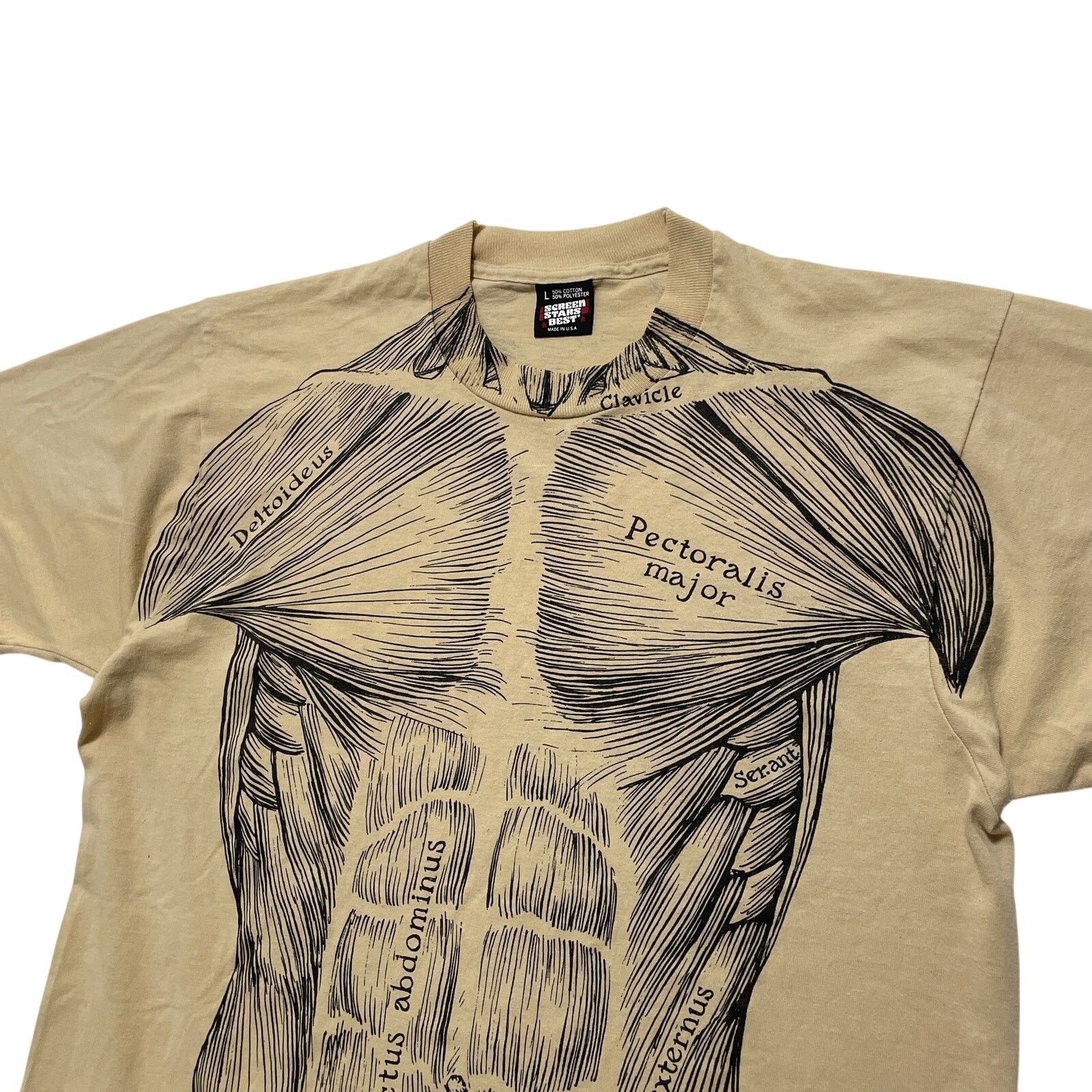 Vintage VTG 80's 1977 Leslie Arwin Muscle Anatomy Beige T-Shirt L Size US L / EU 52-54 / 3 - 2 Thumbnail