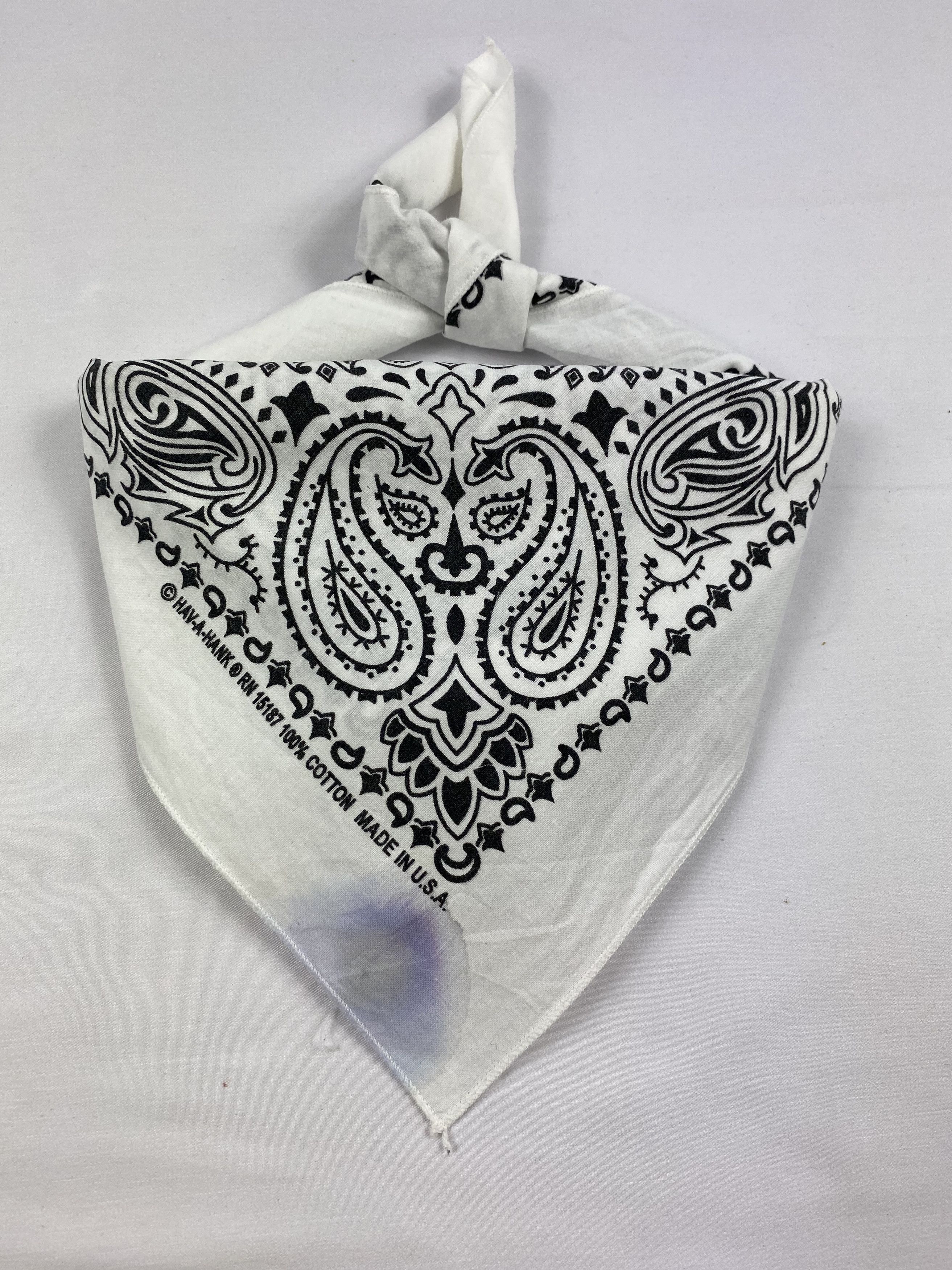 Vintage Paislee Handkerchief / Bandana / Neckerchief Size ONE SIZE - 1 Thumbnail