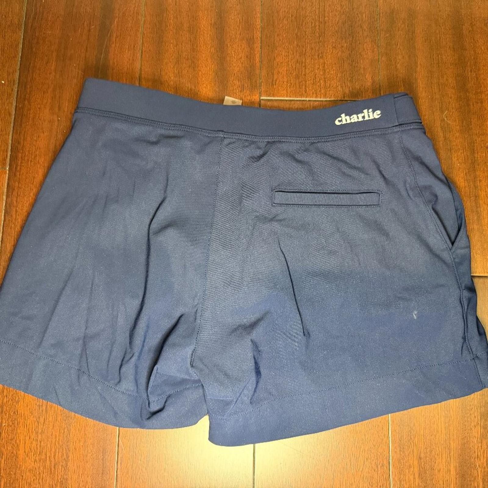 Other Charlie Resort Swim Shorts Blue Size Small Size US 30 / EU 46 - 5 Thumbnail