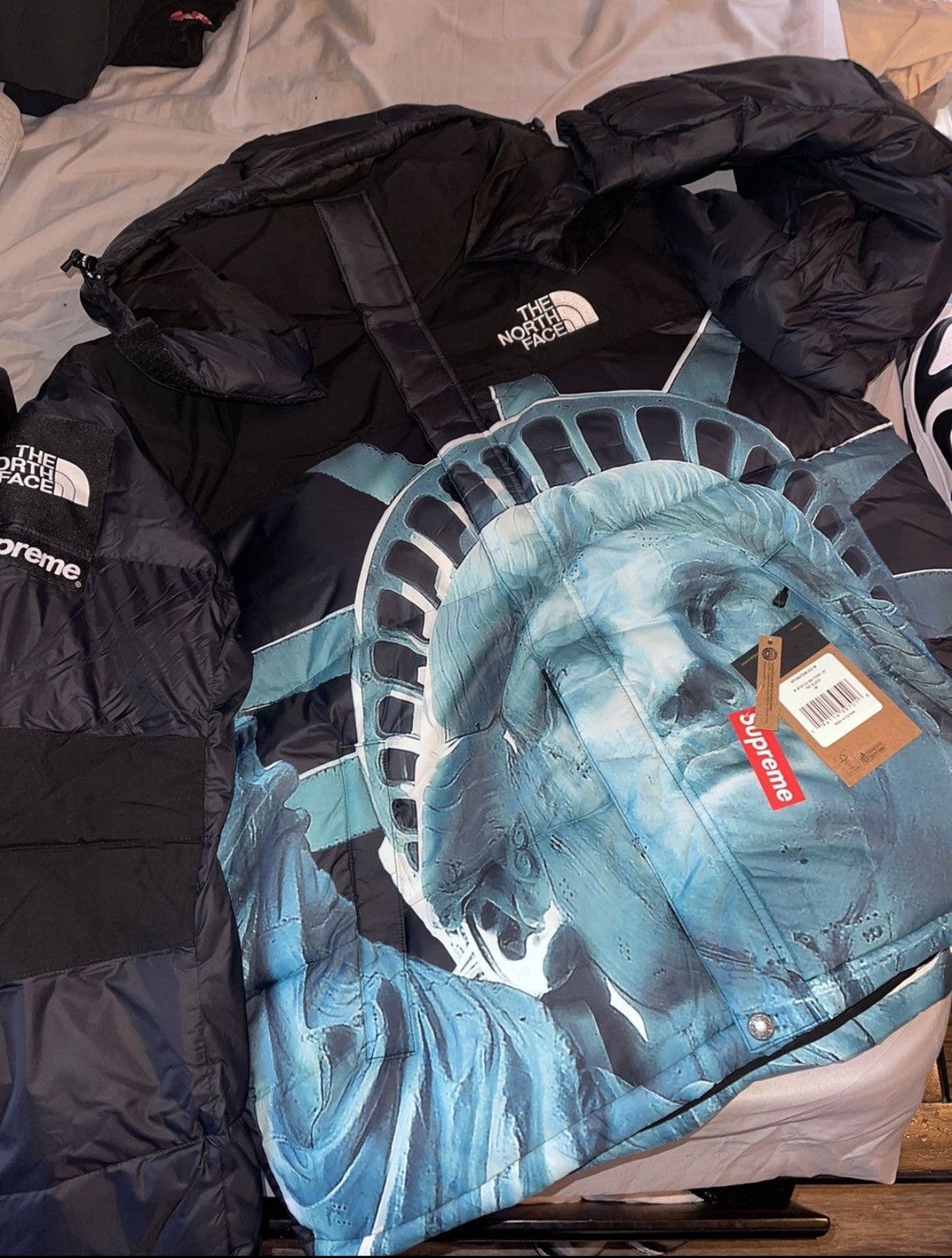 Supreme × The North Face SUPREME THE NORTH FACE STATUE OF LIBERTY BALTORO JACKET Size US M / EU 48-50 / 2 - 1 Thumbnail