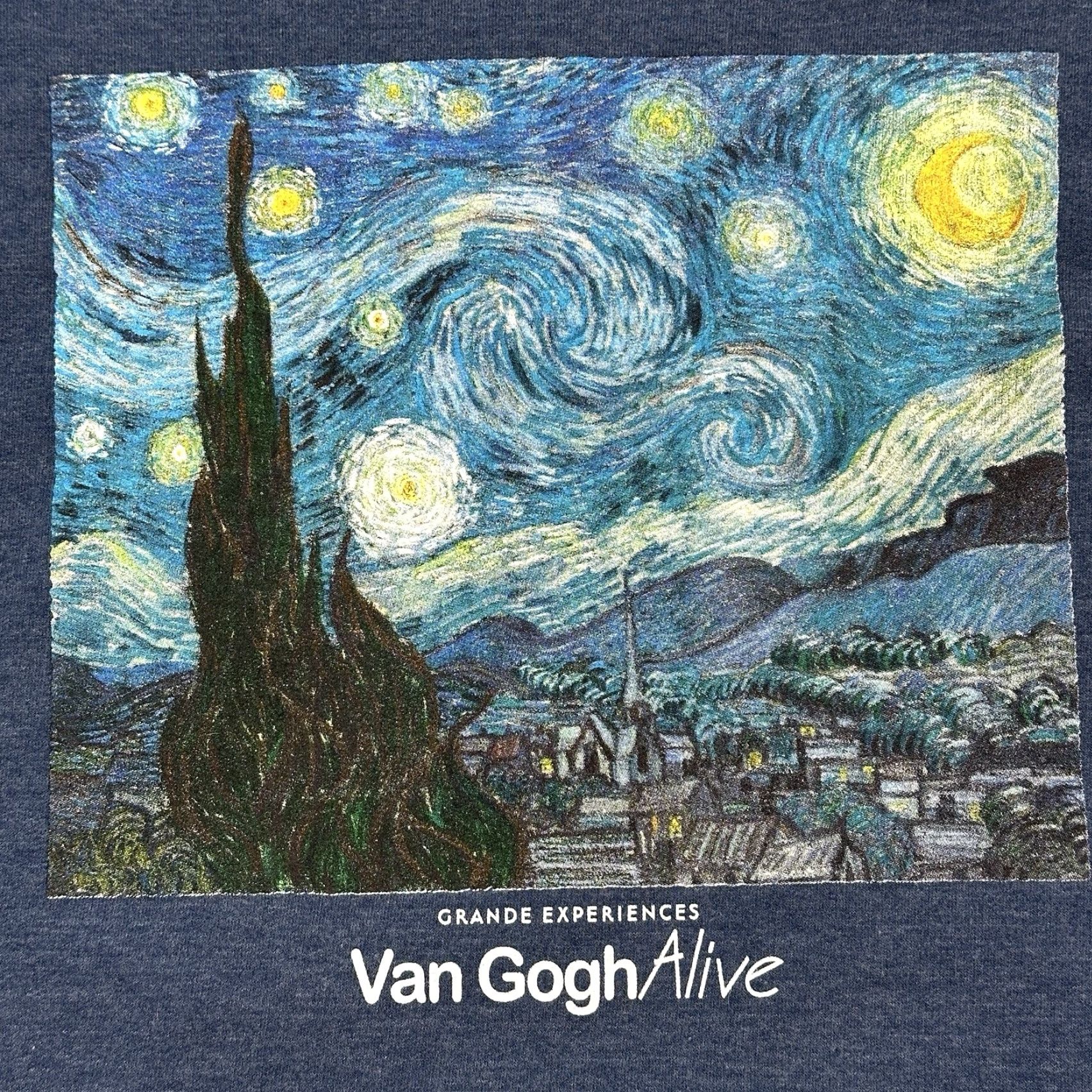 Vintage Biltmore Sweatshirt Mens Small Vincent Van Gogh Alive Starry Night Pullover Size US M / EU 48-50 / 2 - 2 Thumbnail