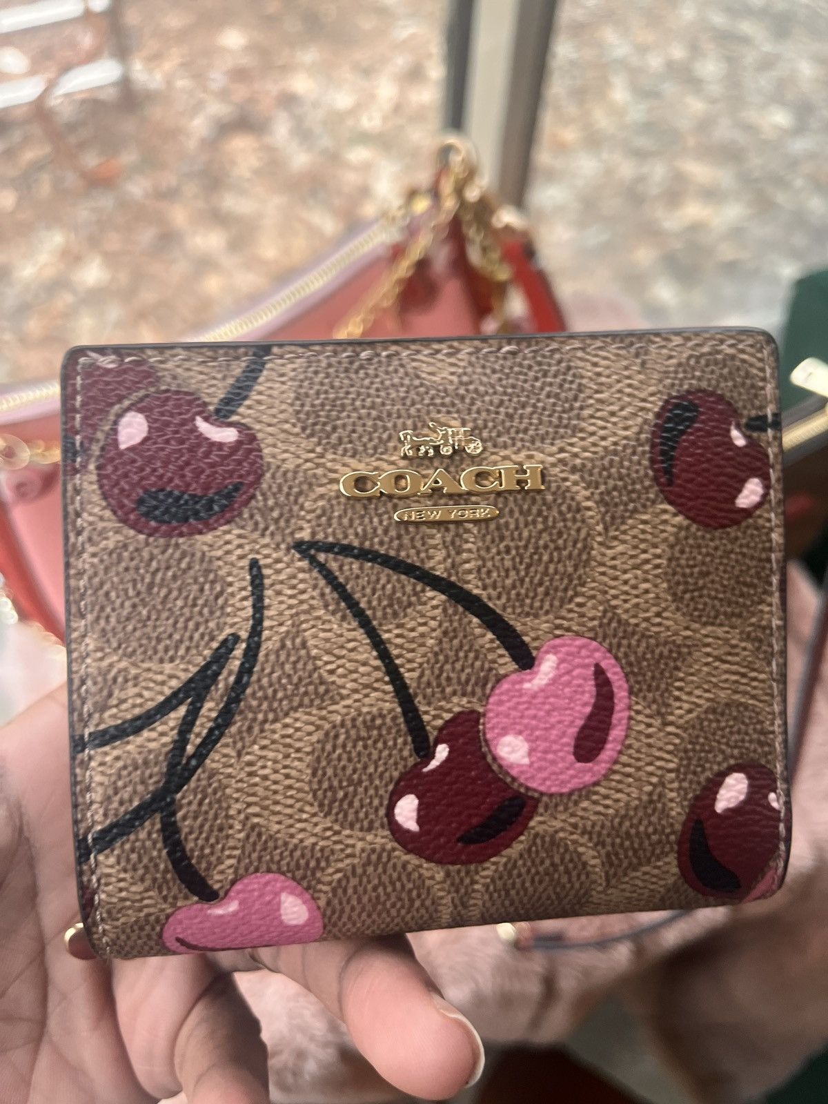 Coach Summer Fruit Collection Teri Bag, Nolita 19 & Wallet Size ONE SIZE - 3 Thumbnail