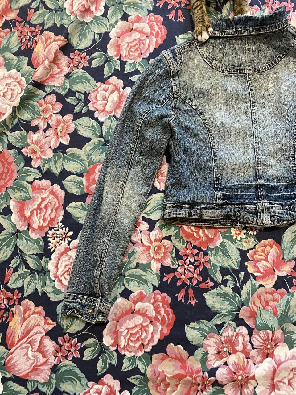 Miss Sixty Streetwear vintage denim blue jacket Miss Sixty luxury Y2K Size M / US 6-8 / IT 42-44 - 16 Thumbnail